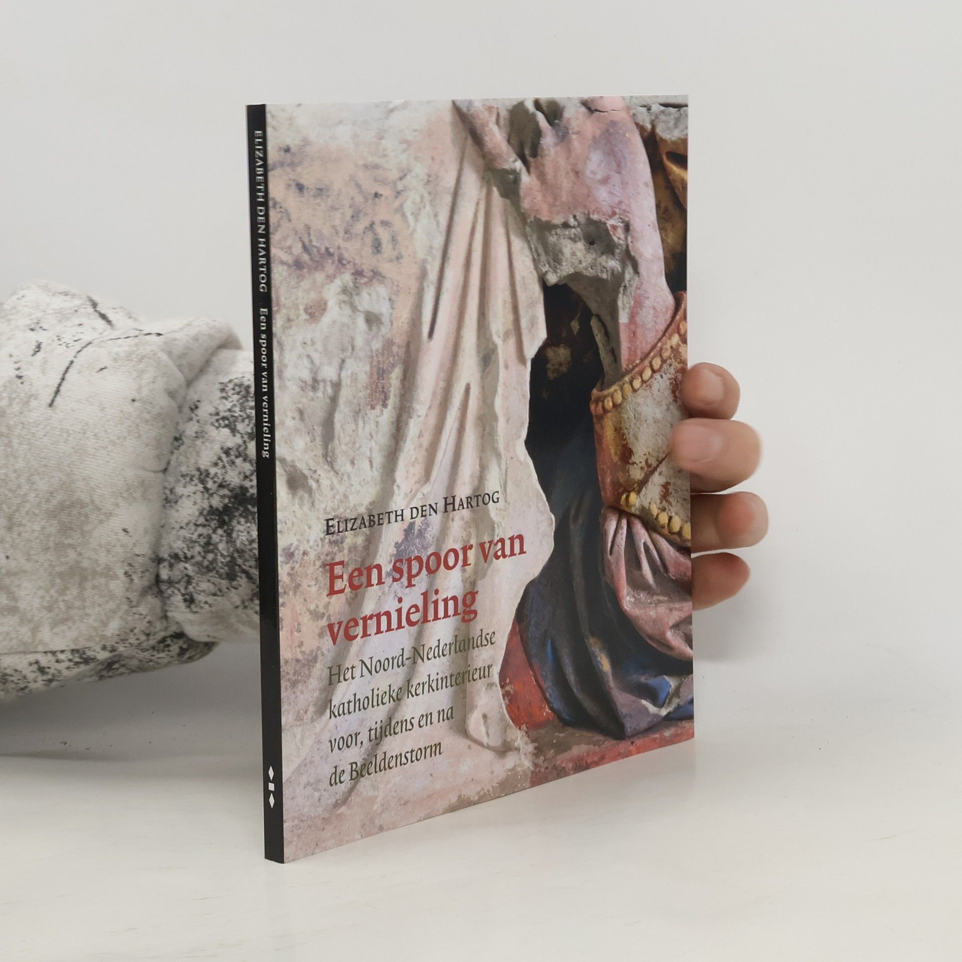 Elizabeth den Hartog Zeven Provinciën reeks - 39: Een spoor van vernieling. Het Noord-Nederlandse katholieke kerkinterieur voor, tijdens en na de Beeldenstorm