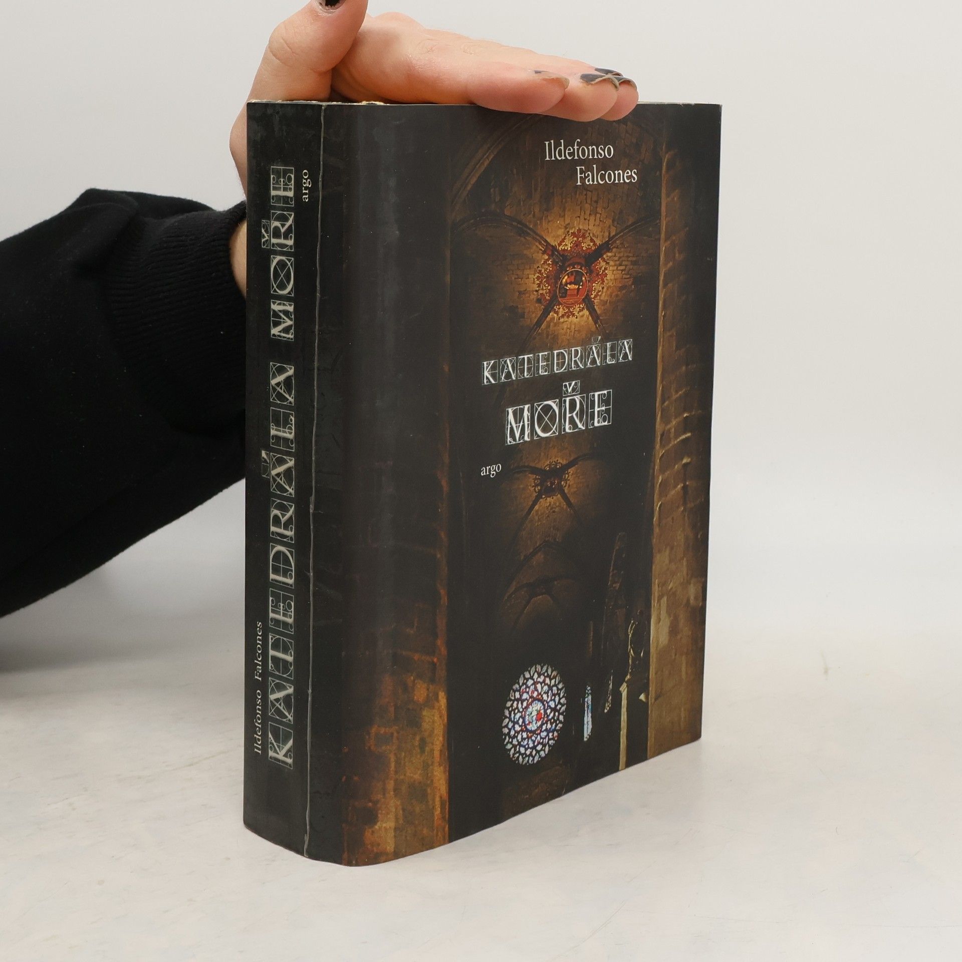 Ildefonso Falcones Katedrála moře