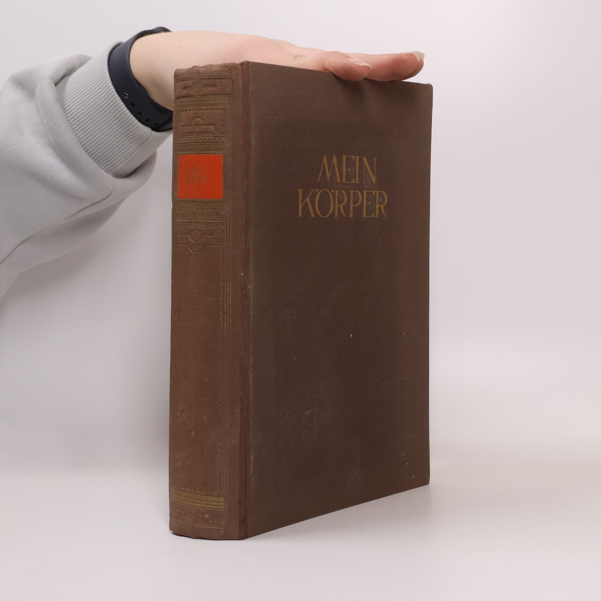 Martin Sendenholm Mein Körper