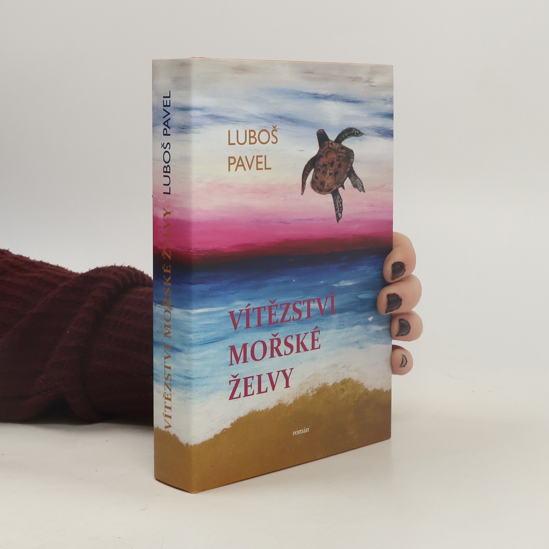 Vítězství mořské želvy