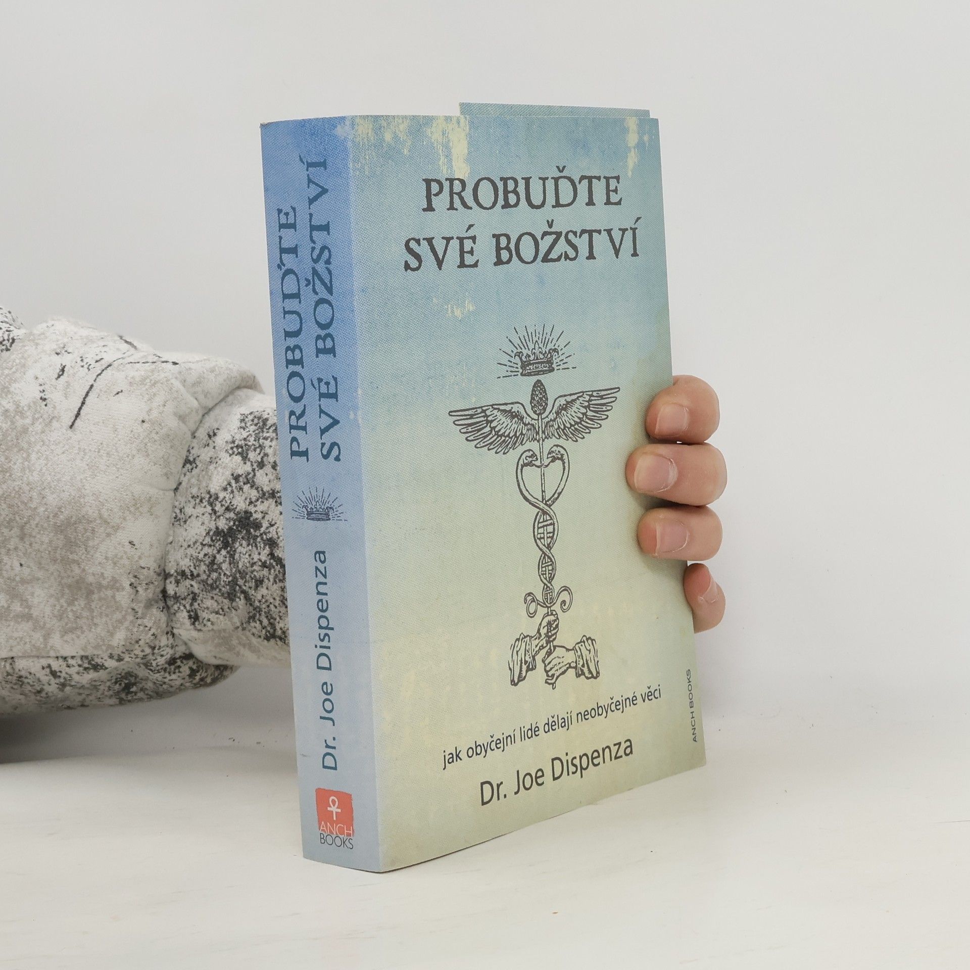 Probuďte své božství : jak obyčejní lidé dělají neobyčejné věci