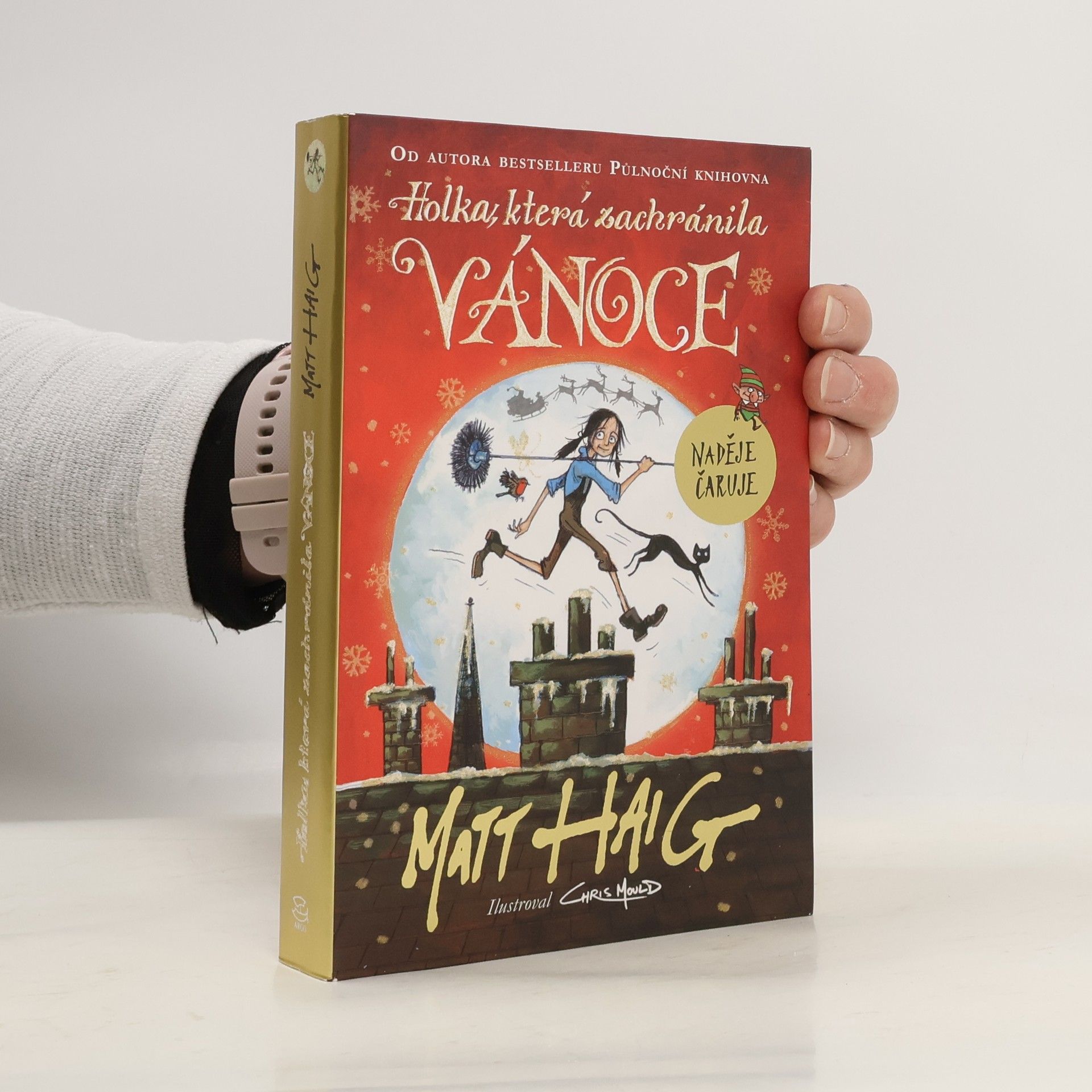 Matt Haig Holka, která zachránila Vánoce