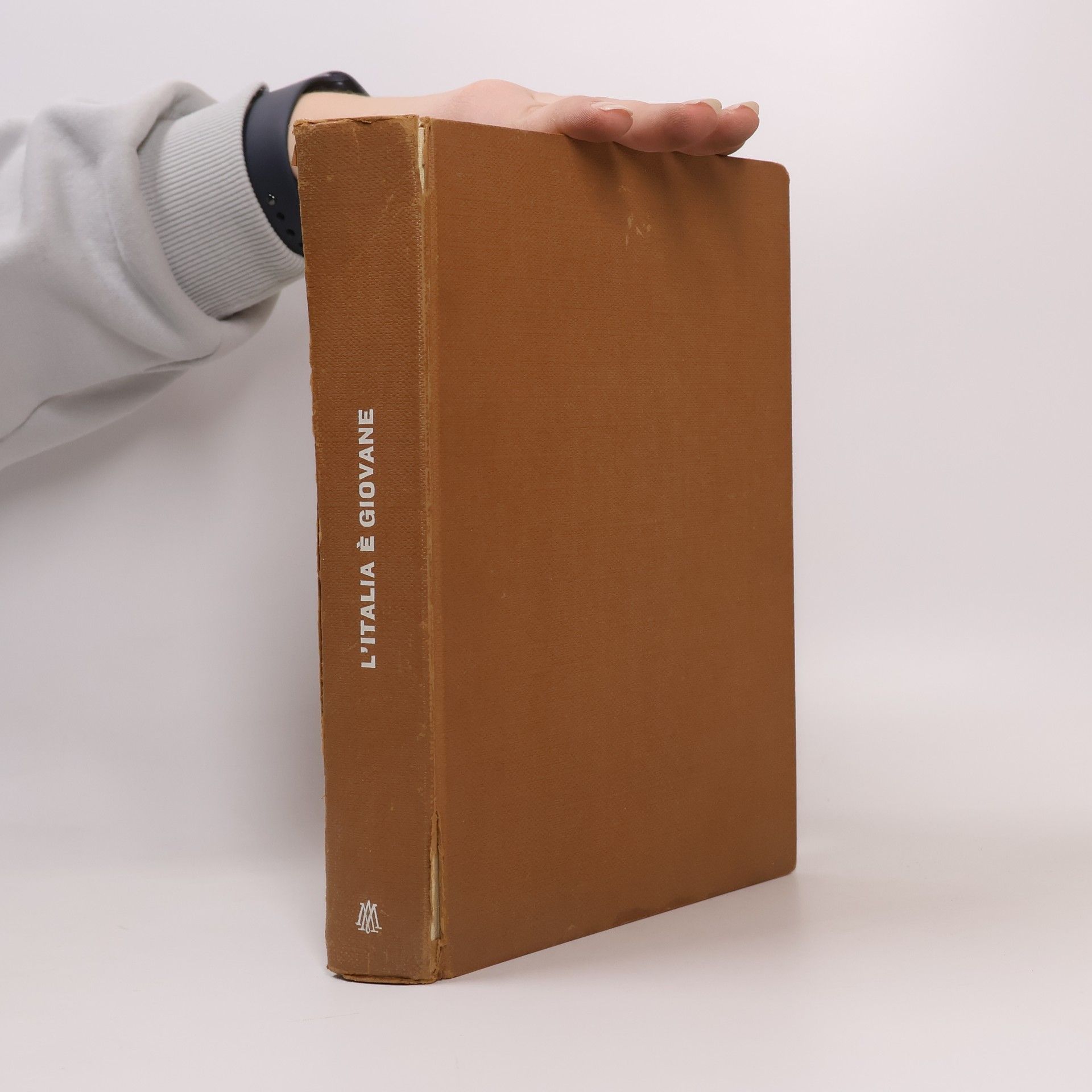 Kolektív autorov L'Italia è giovane