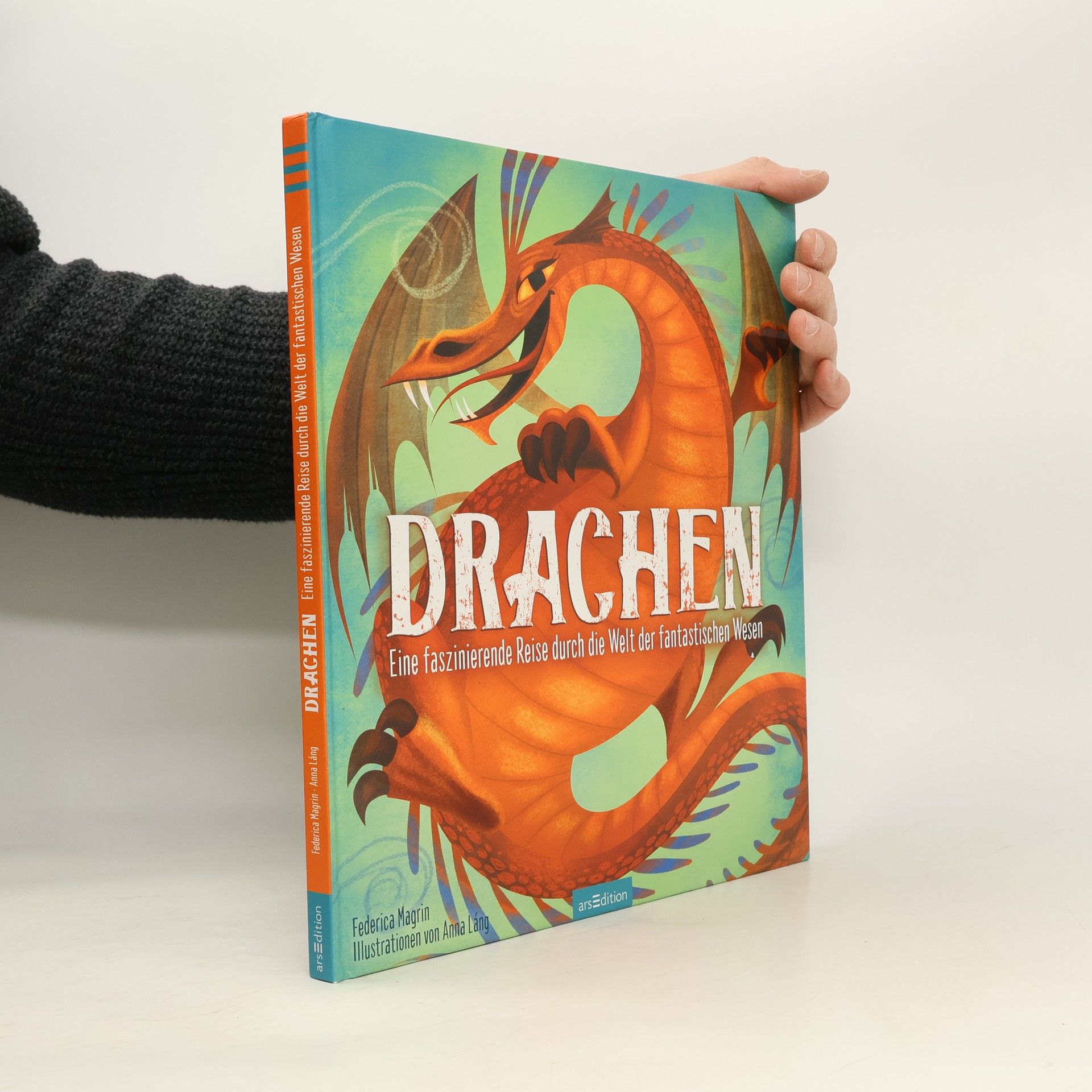 Federica Magrin Drachen