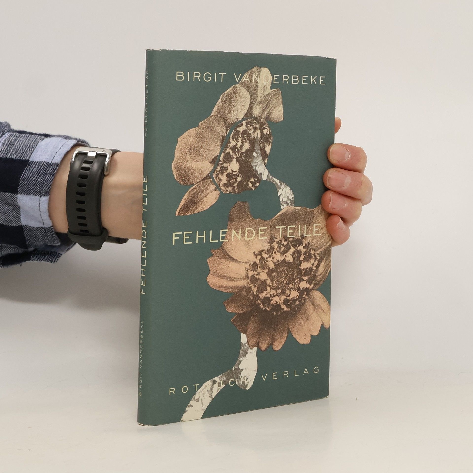 Birgit Vanderbeke Fehlende Teile