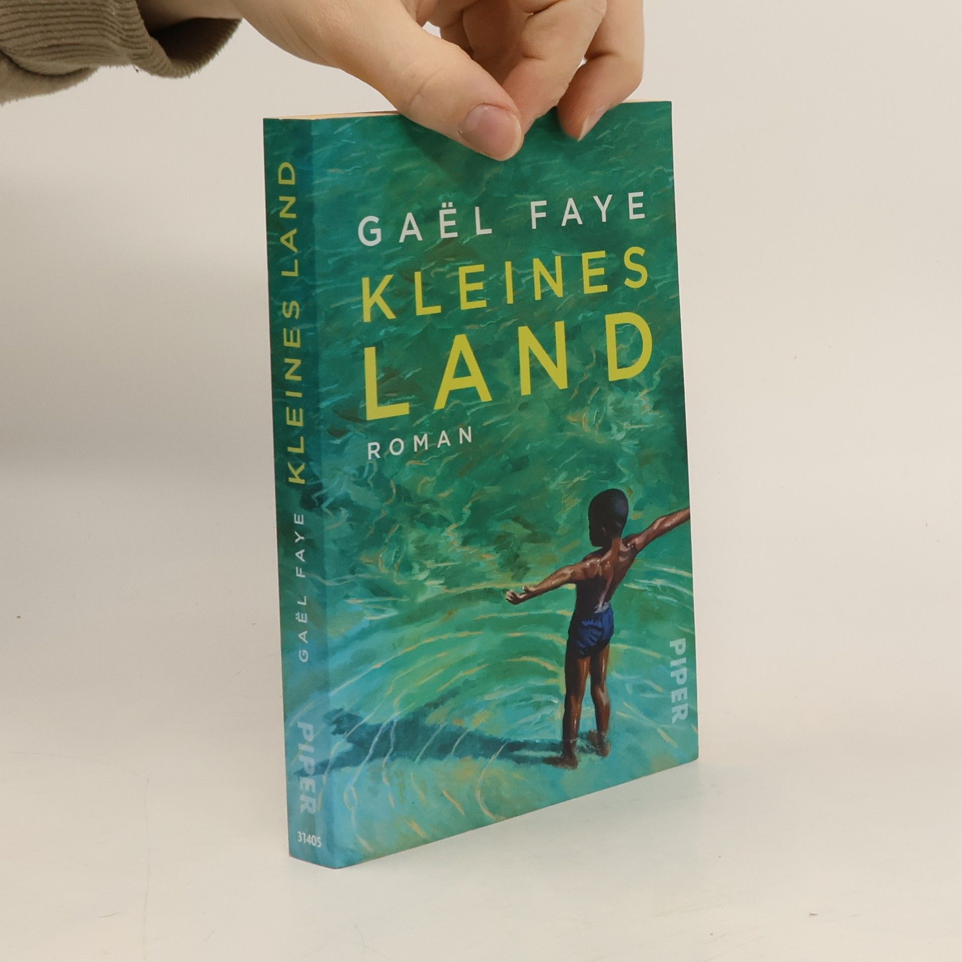 Gaël Faye Kleines Land