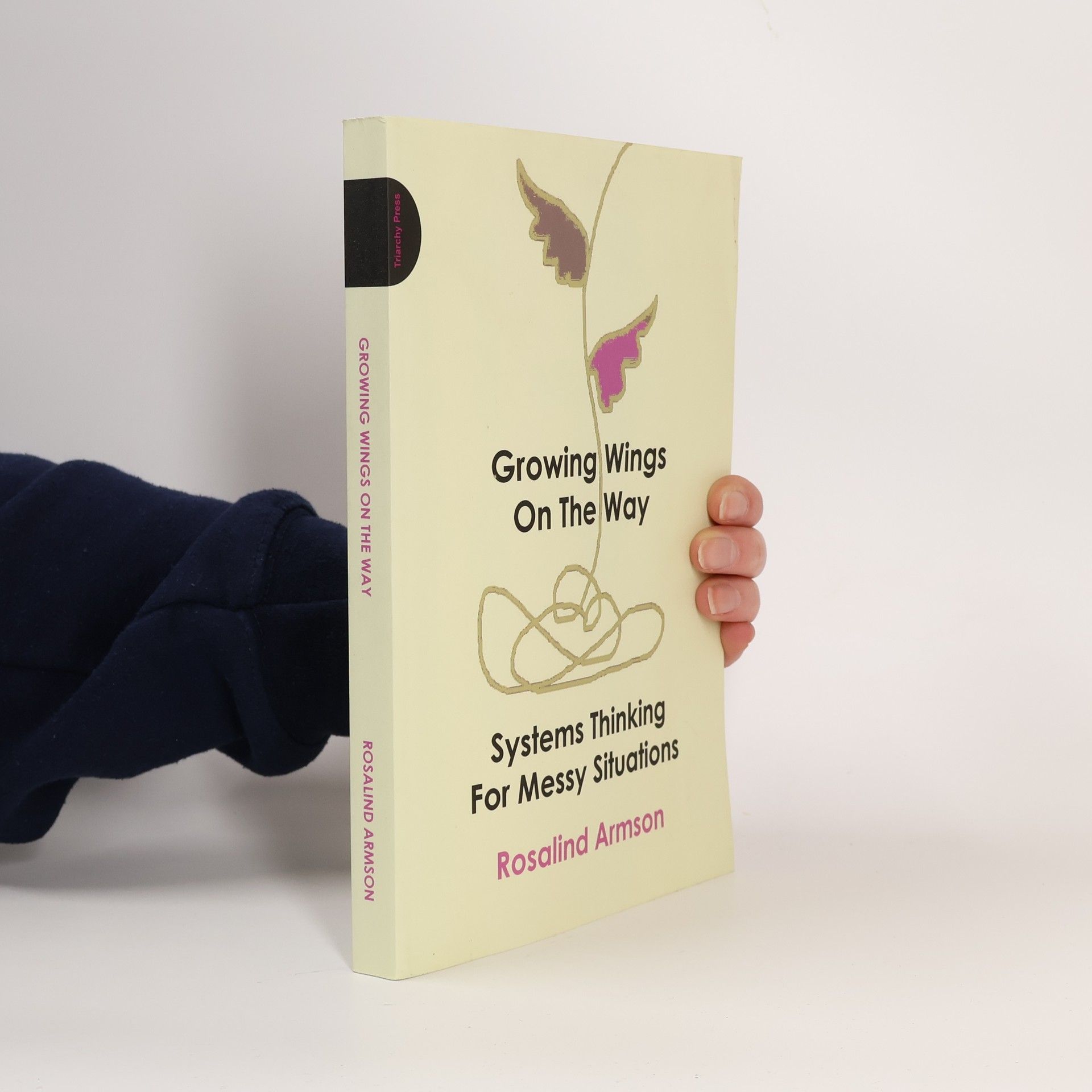 Rosalind Armson Growing Wings on the Way