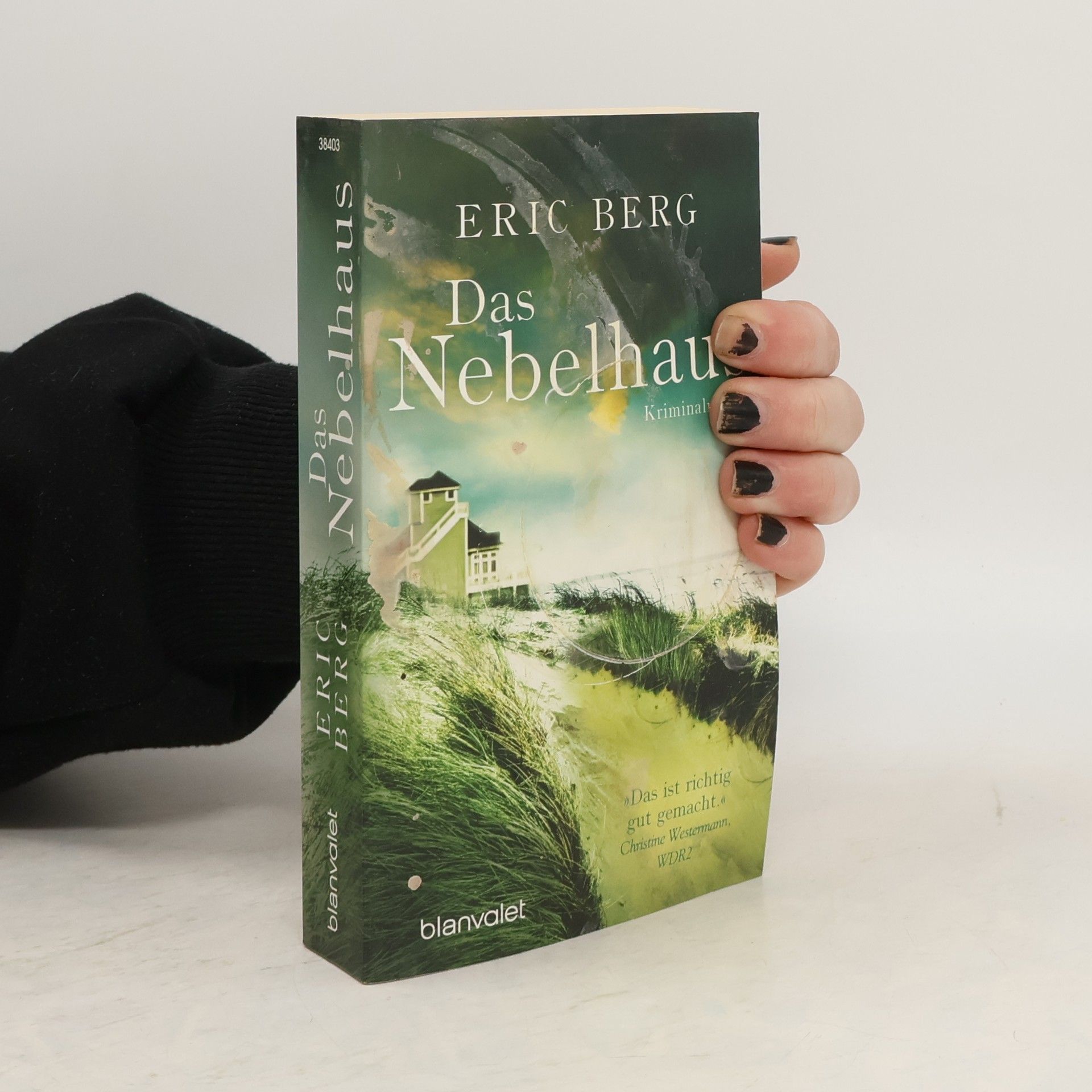 Eric Berg Das Nebelhaus