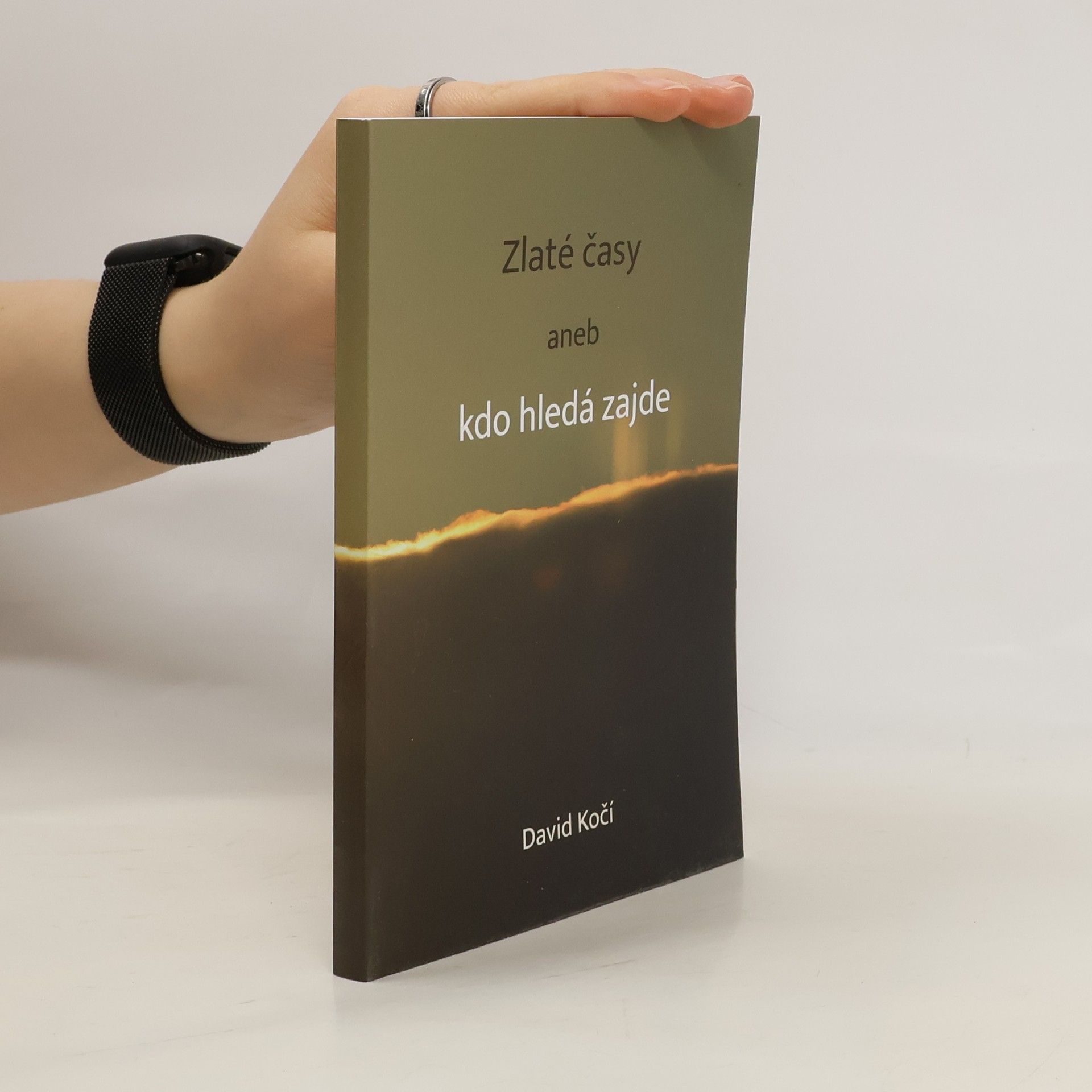 David Kočí Zlaté časy, aneb, Kdo hledá, zajde