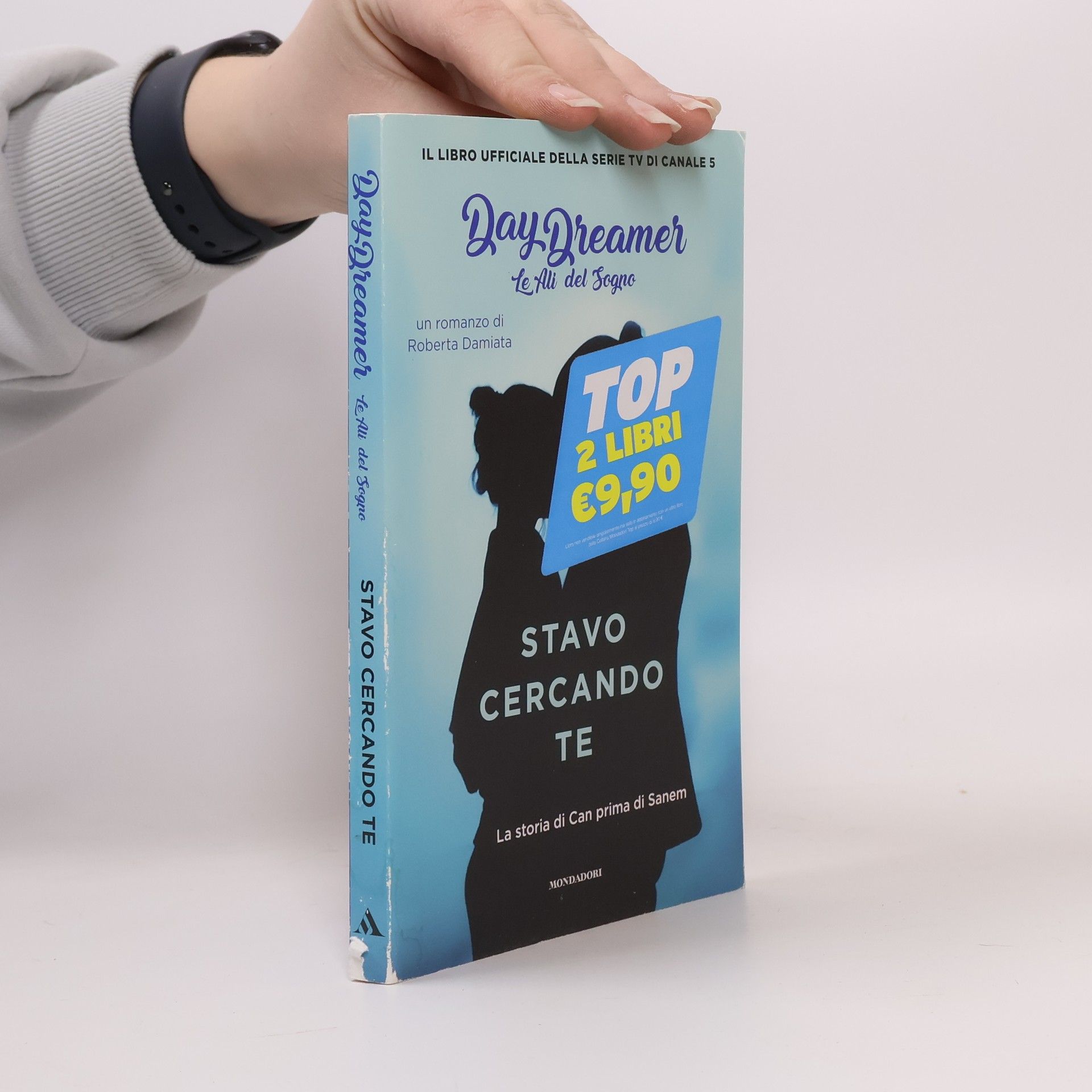 Stavo cercando te. La storia di Can prima di Sanem.