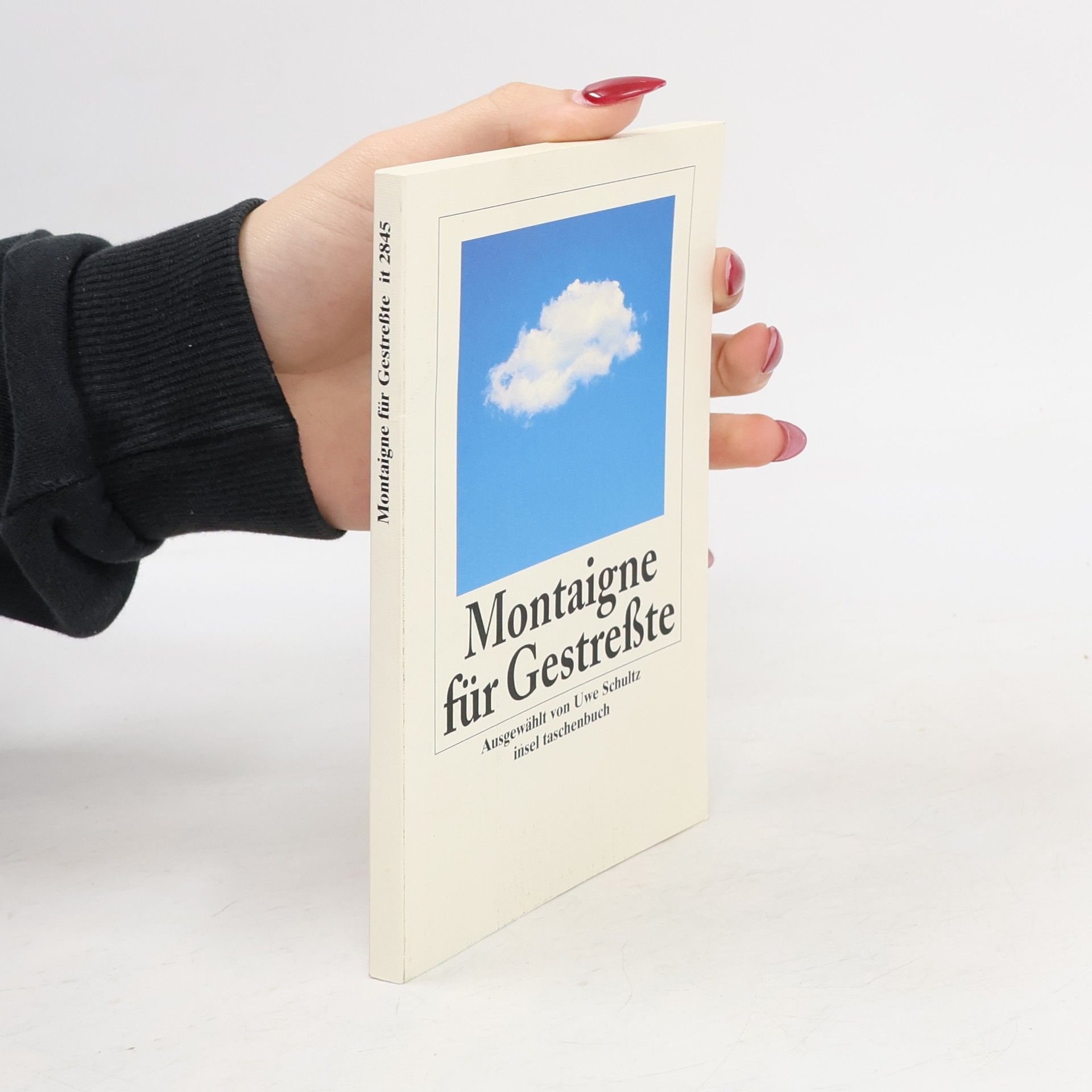 Michel de Montaigne Montaigne für Gestreßte