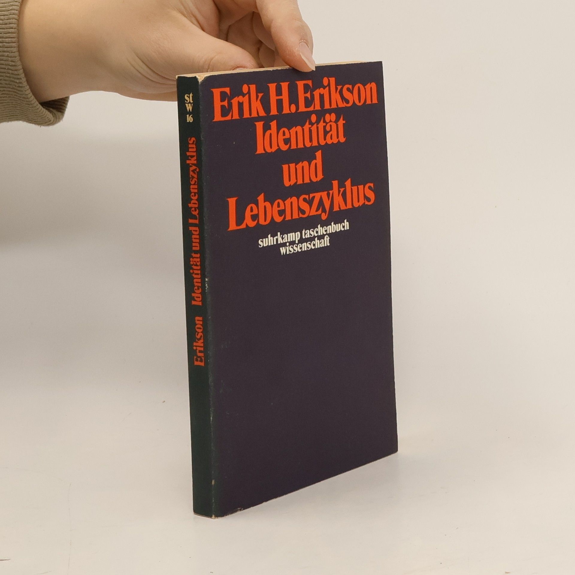 Erik Erikson Identität und Lebenszyklus