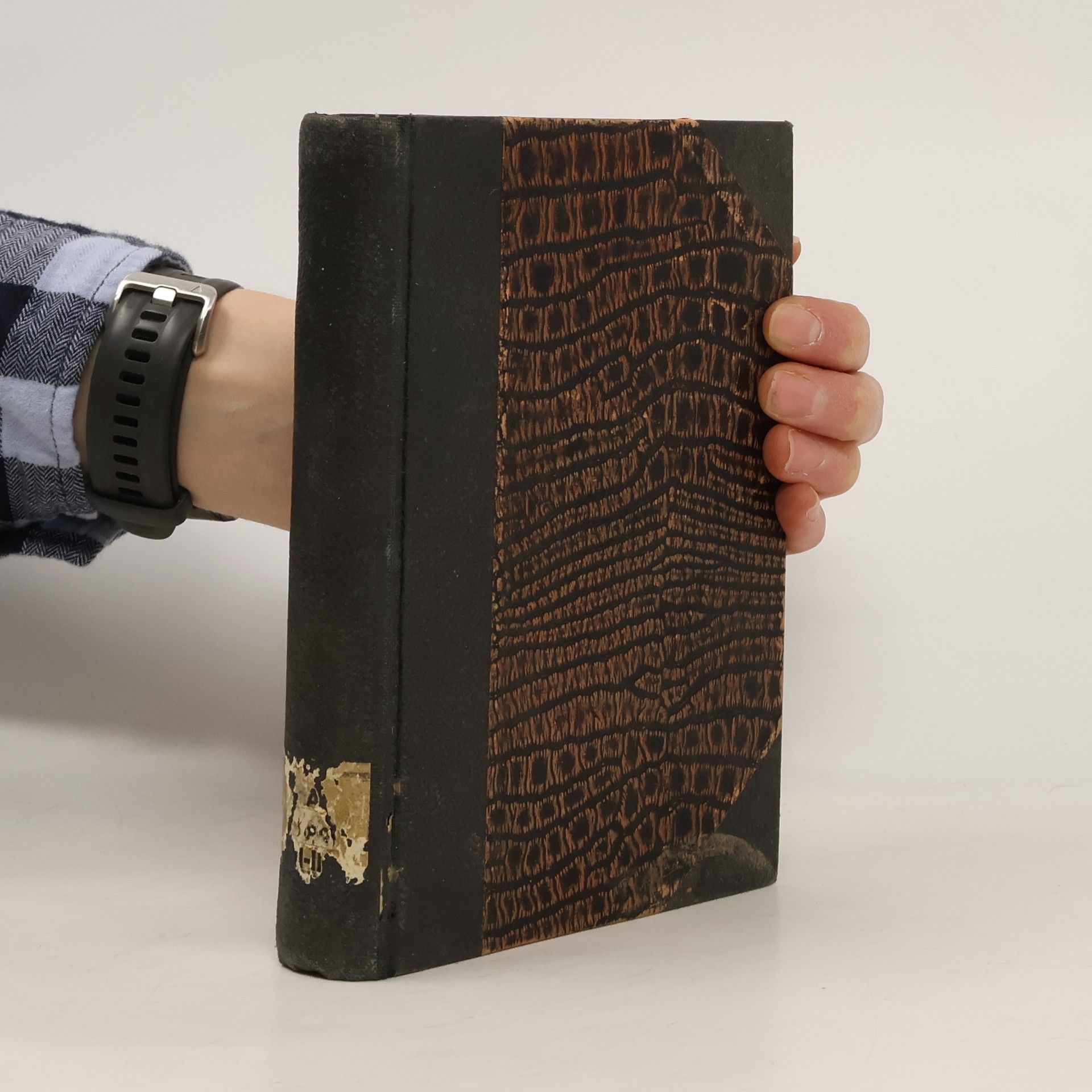 L. Mühlbachová. Císařovna Josefina. 1