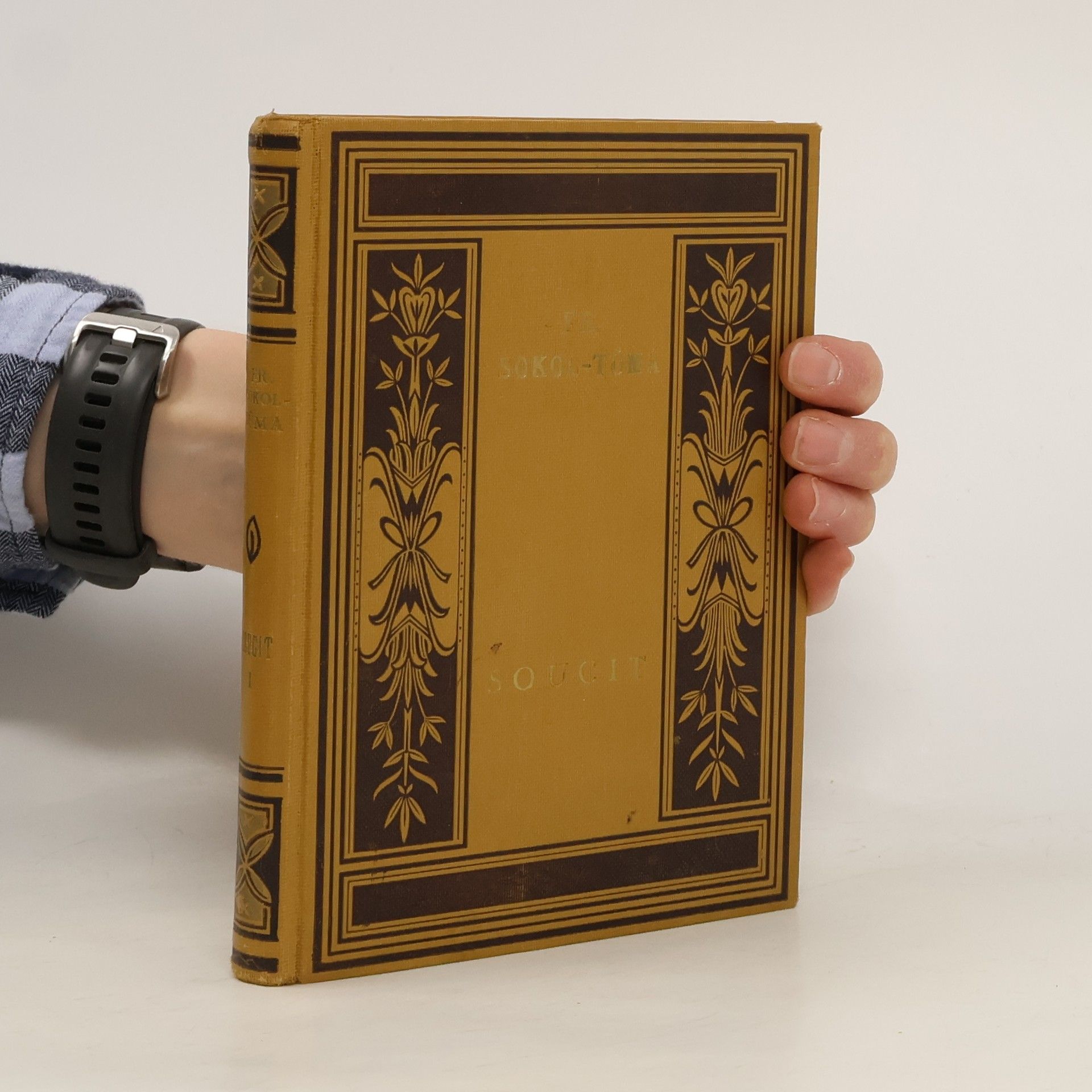 František Sokol Tůma Soucit I.