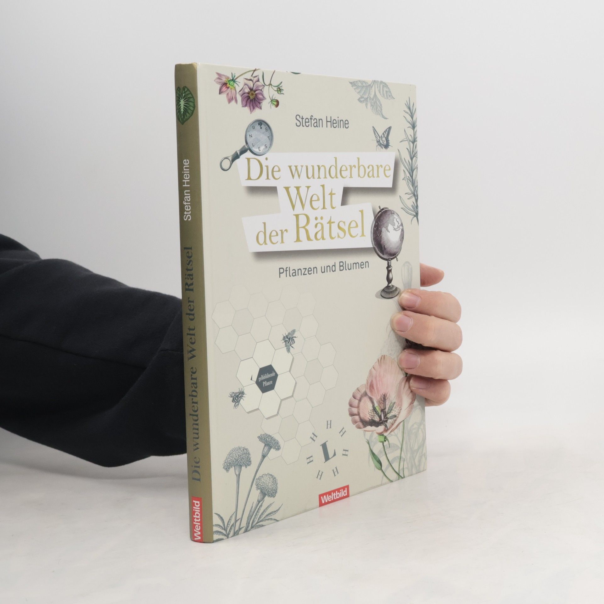 Stefan Heine Die wunderbare Welt der Rätsel