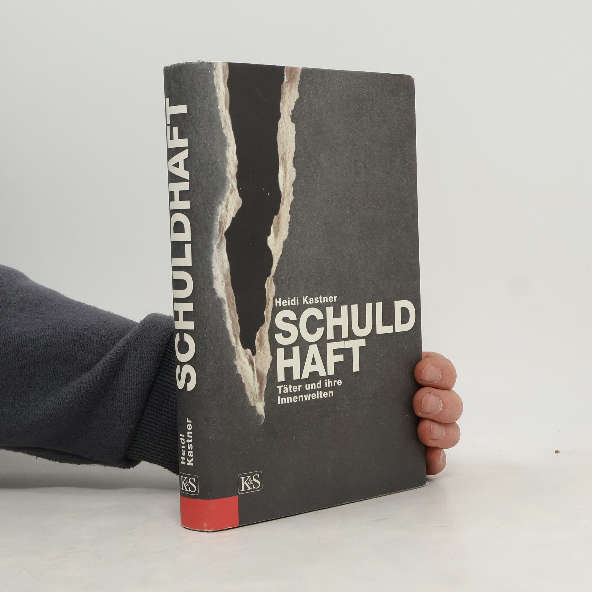 Heidi Kastner Schuldhaft