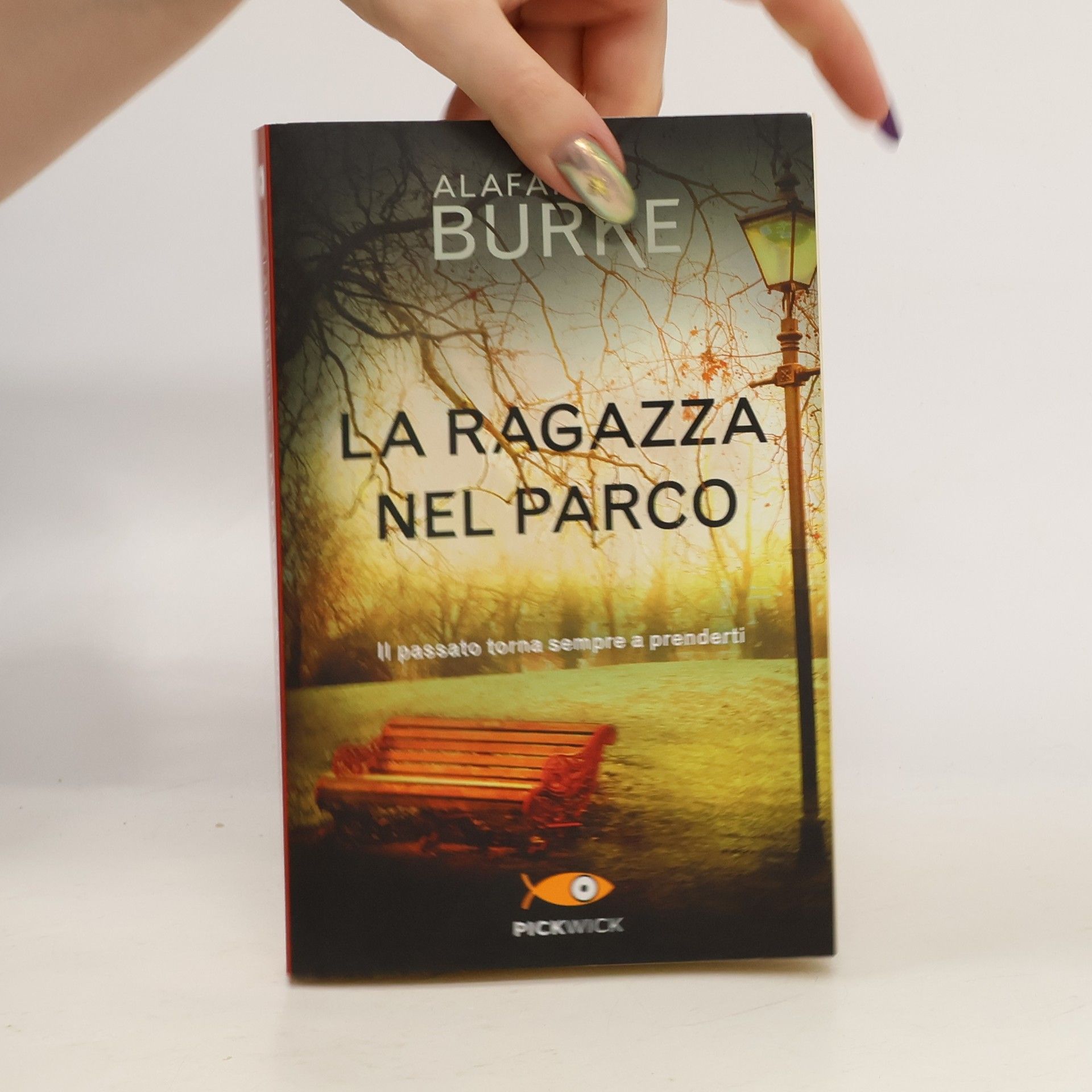 Alafair Burke La ragazza del parco