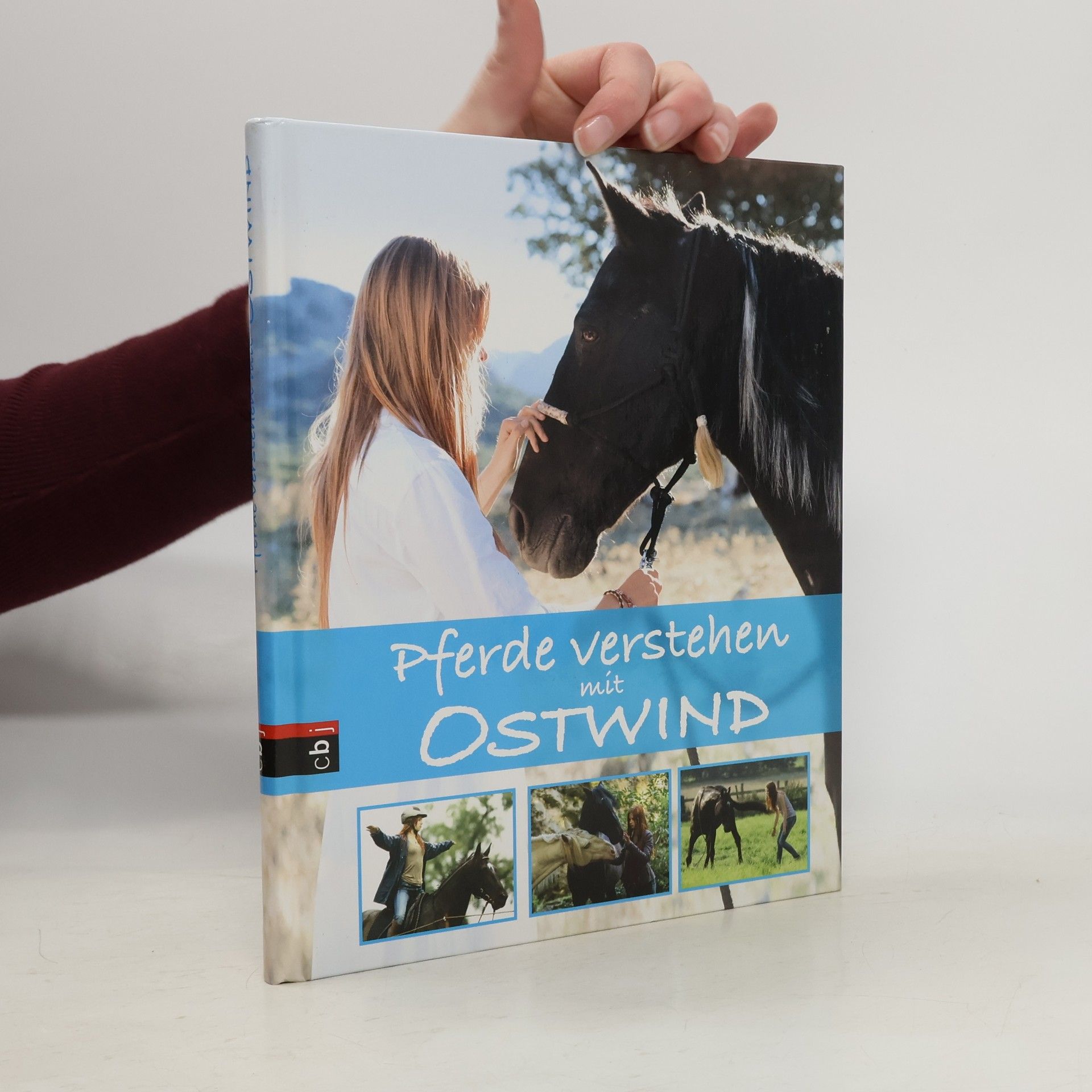 Almut Schmidt Pferde verstehen mit Ostwind