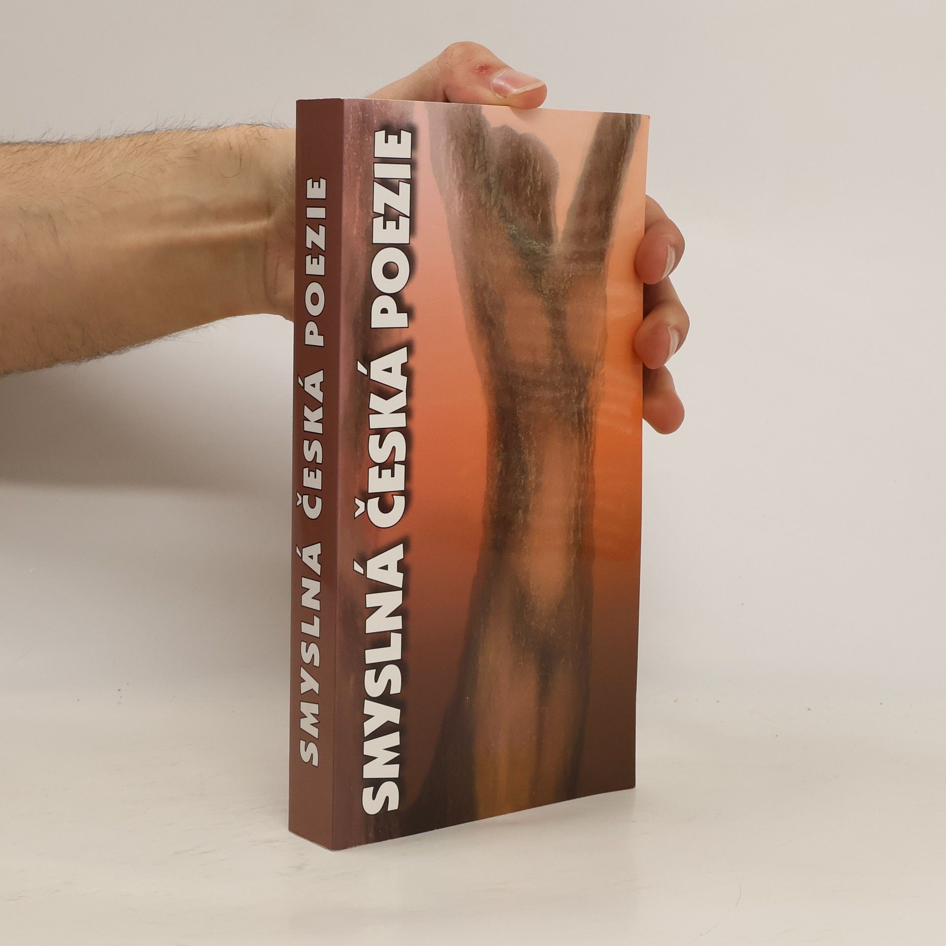 Smyslná česká poezie