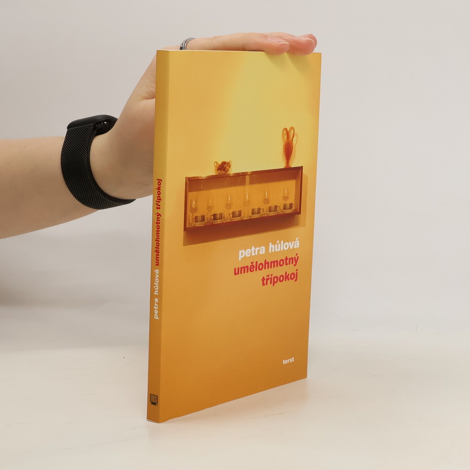 Petra Hůlová Umělohmotný třípokoj