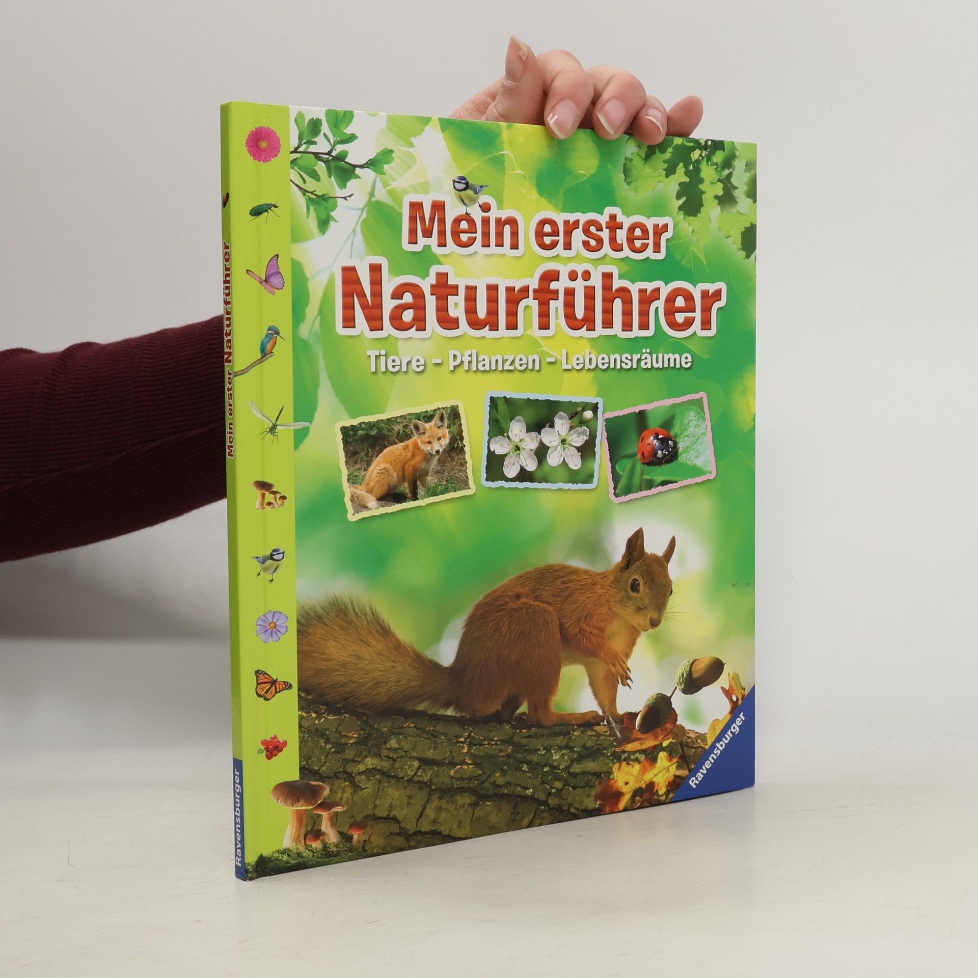 Angelika Lenz Mein erster Naturführer