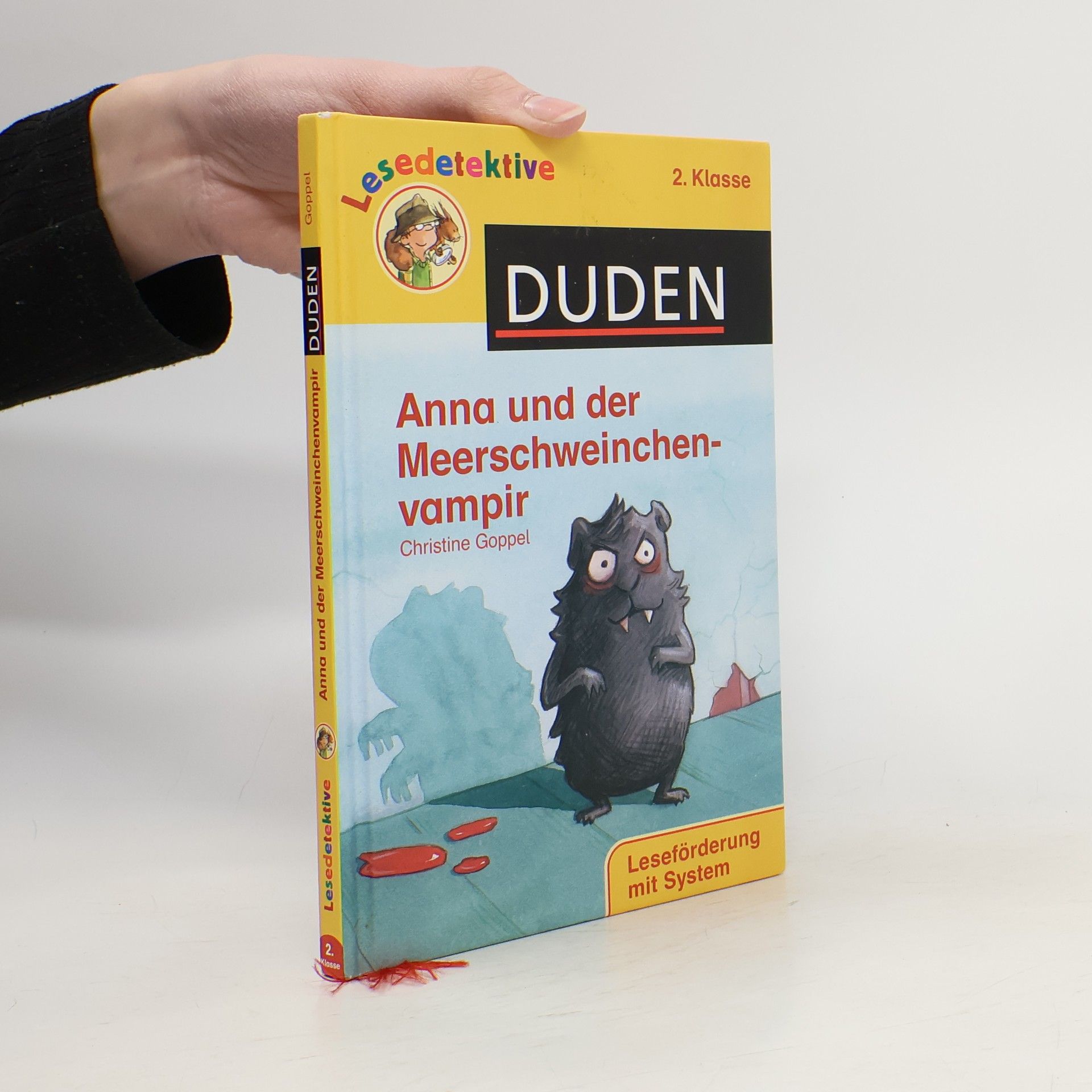 Lesedetektive 2. Klasse