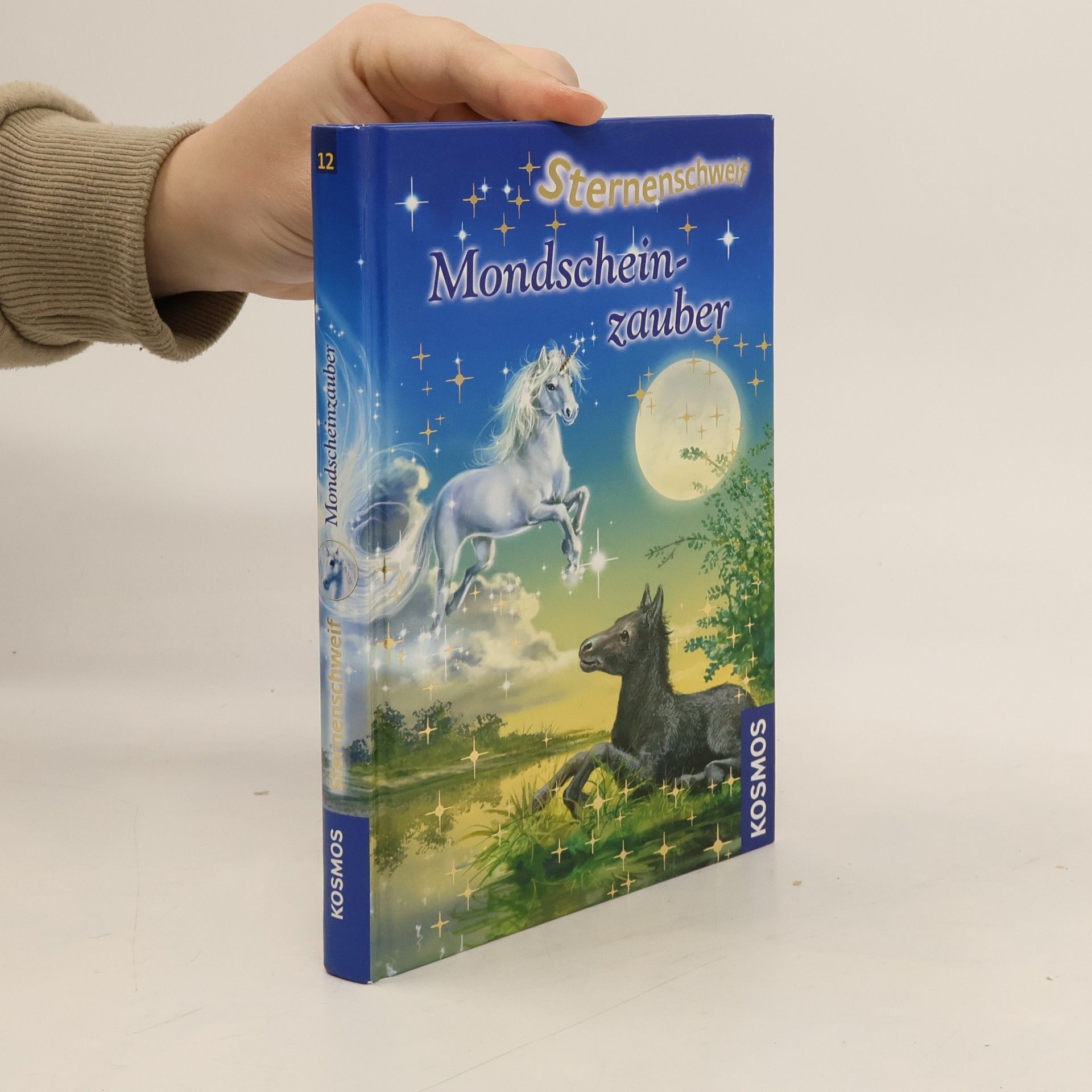 Linda Chapman Sternenschweif. Mondscheinzauber 12