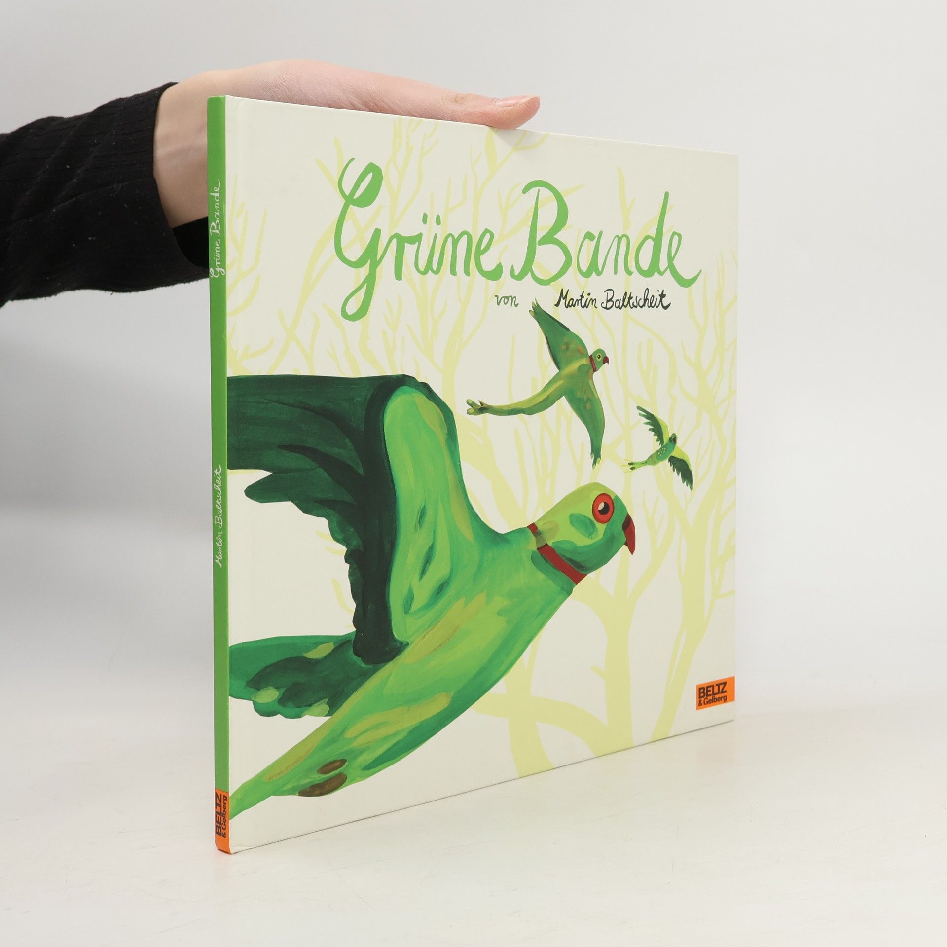 Martin Baltscheit Grüne Bande