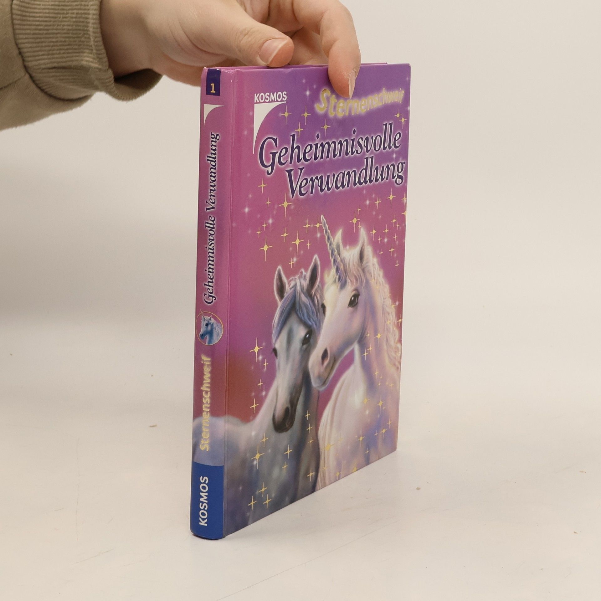 Linda Chapman Geheimnisvolle Verwandlung