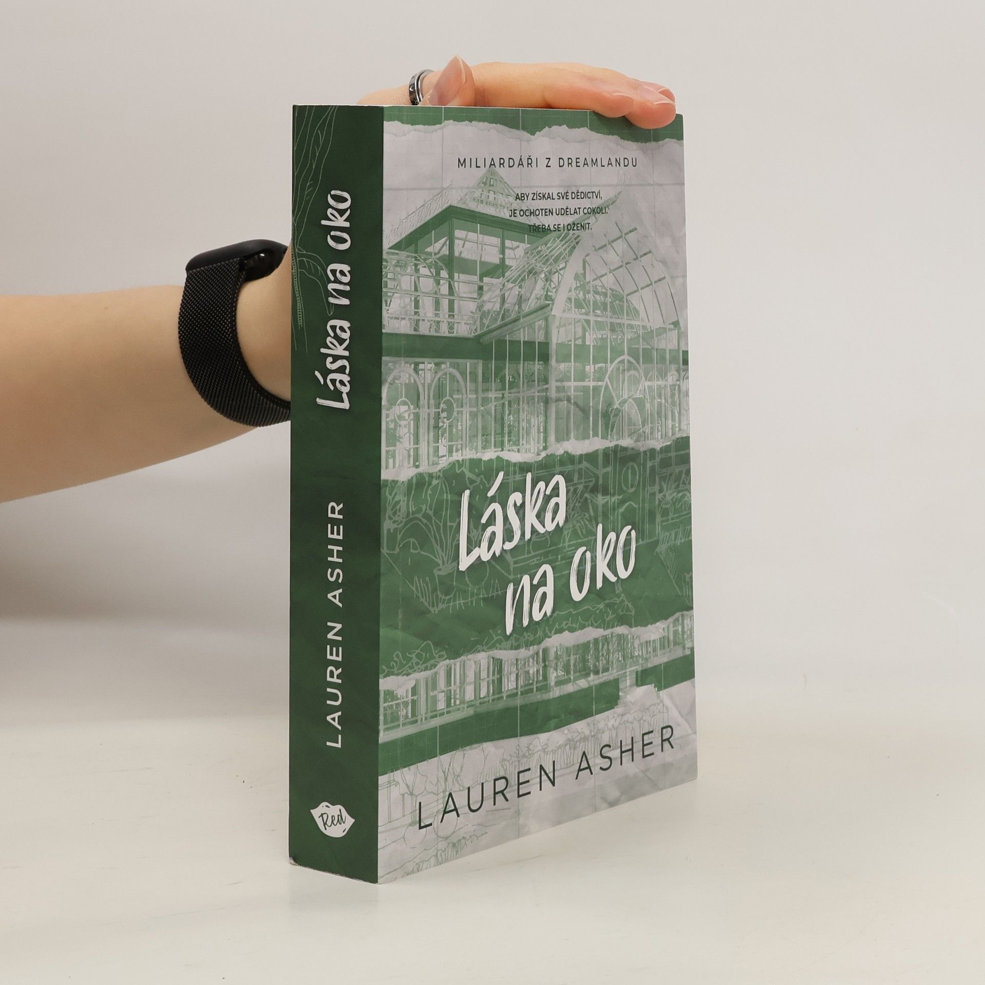 Lauren Asher Láska na oko