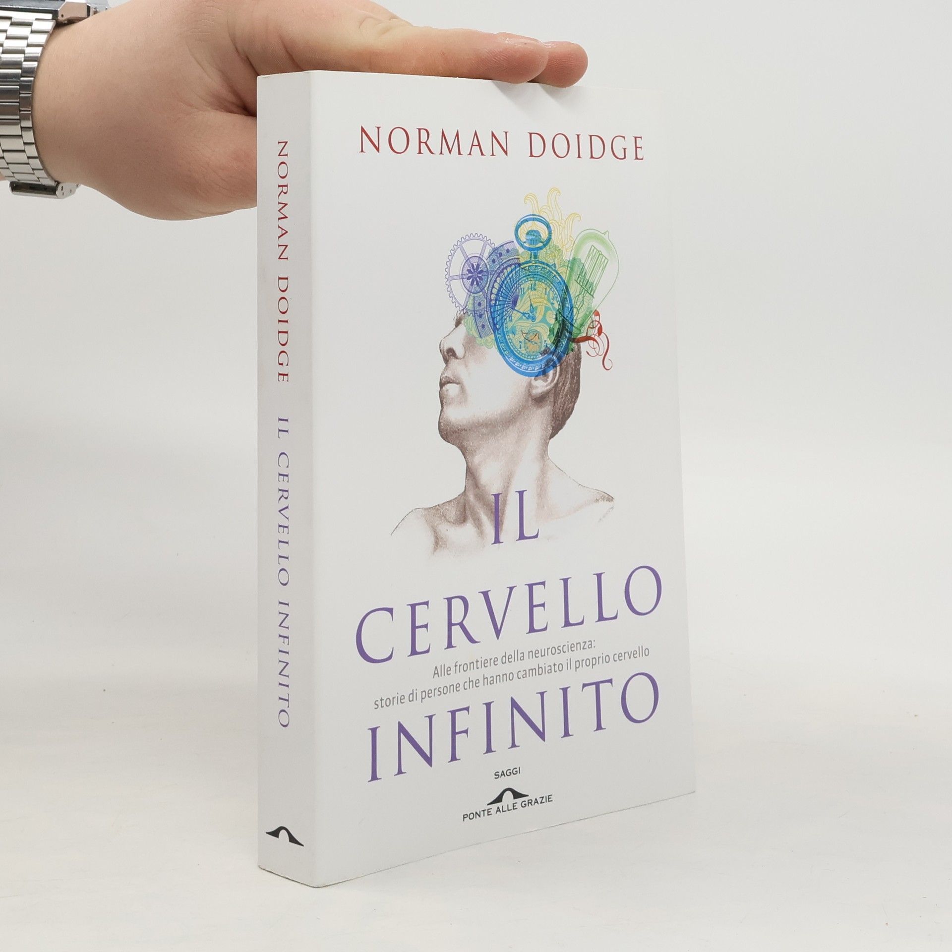 Il cervello infinito. Alle frontiere della neuroscienza