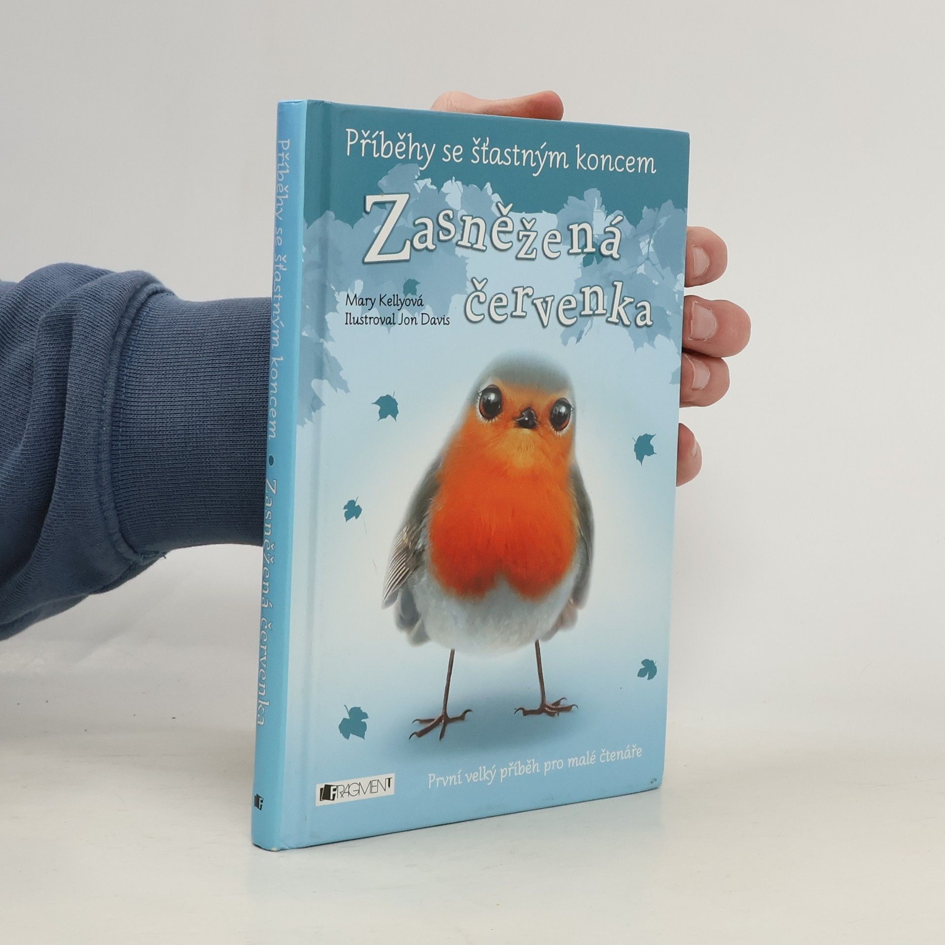 Mary Kelly Zasněžená červenka