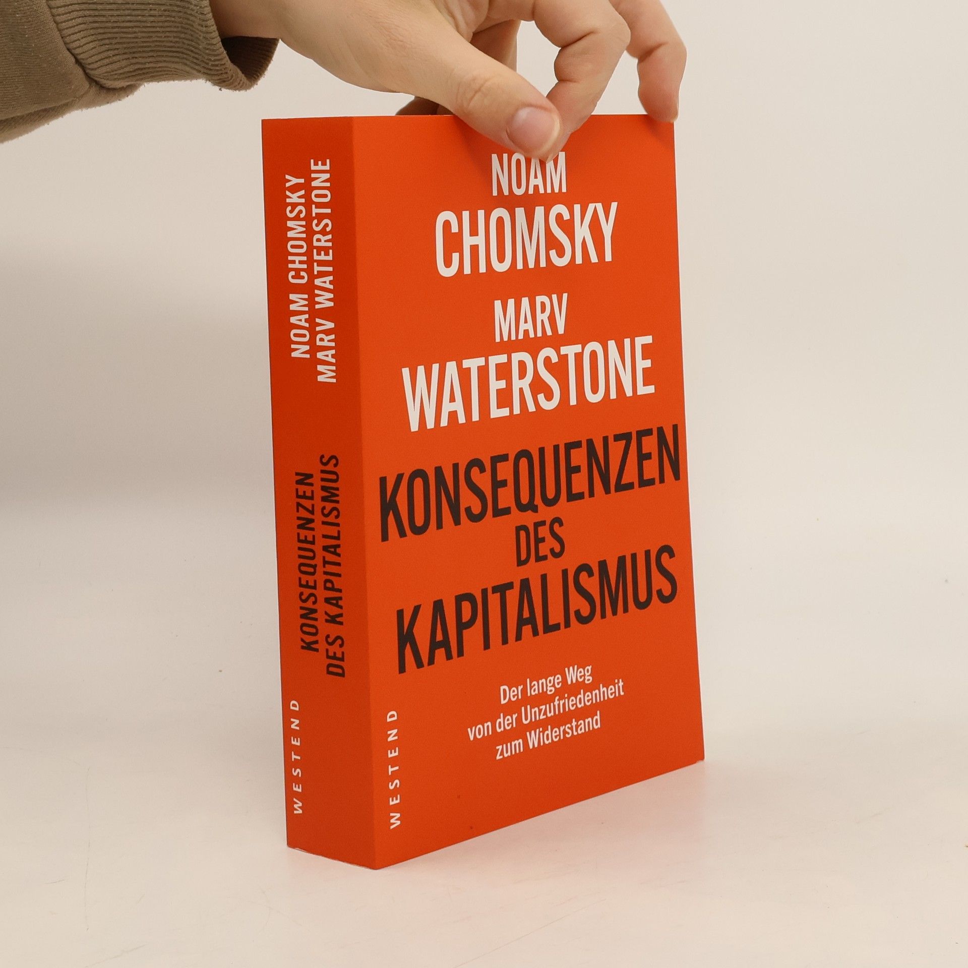 Noam Chomsky Konsequenzen des Kapitalismus
