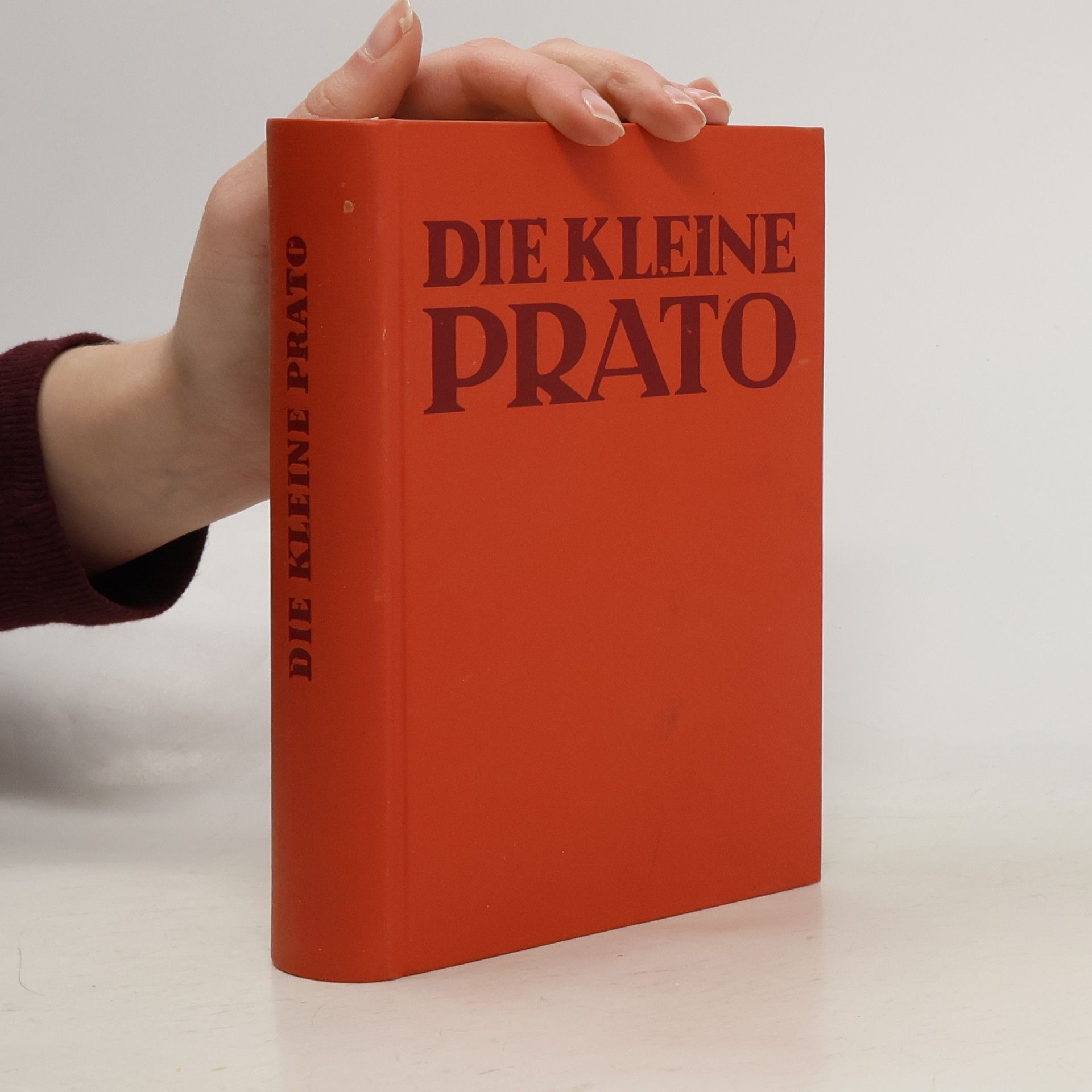 Katharina von Scheiger Die kleine Prato