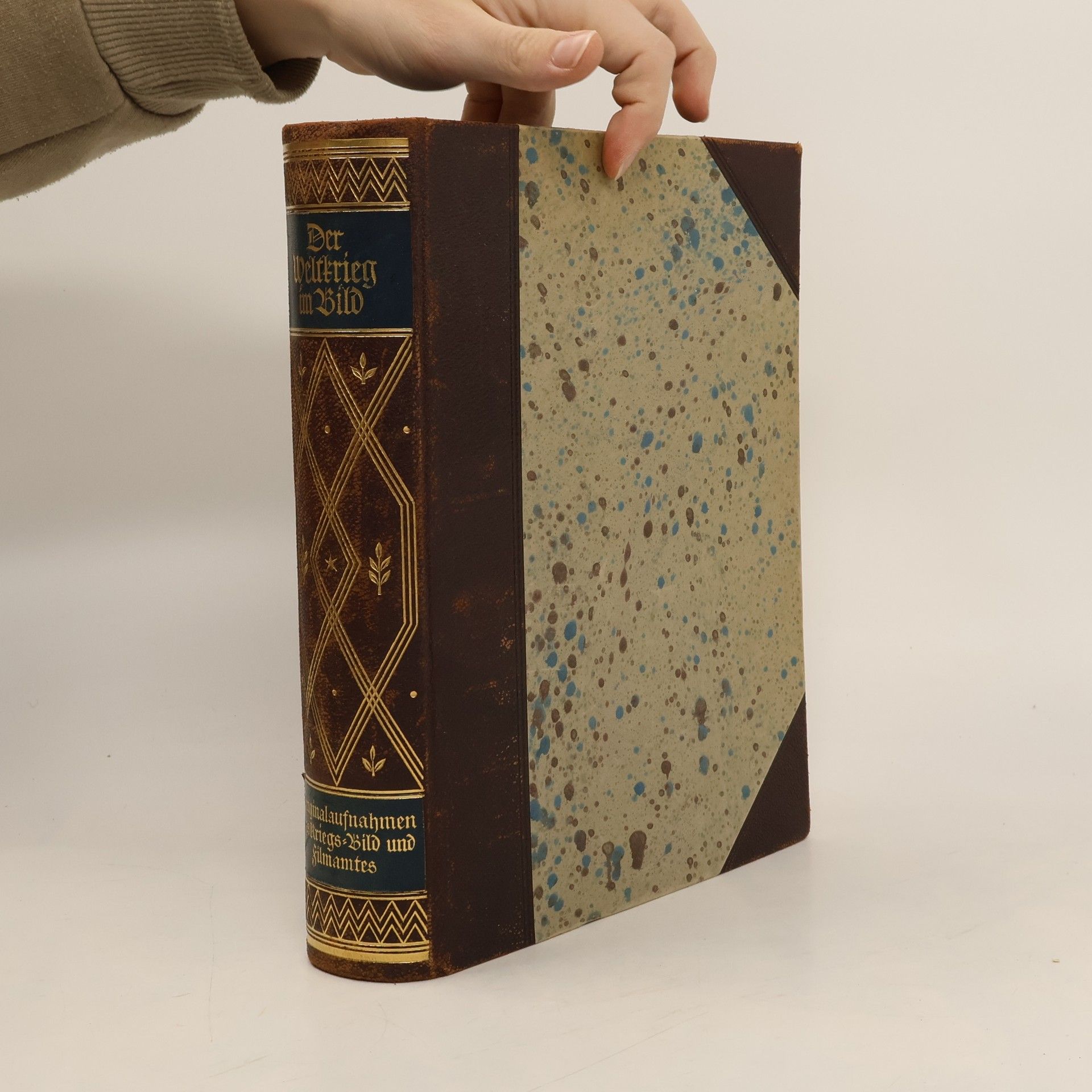 Collectif d'auteurs Der Weltkrieg im Bild