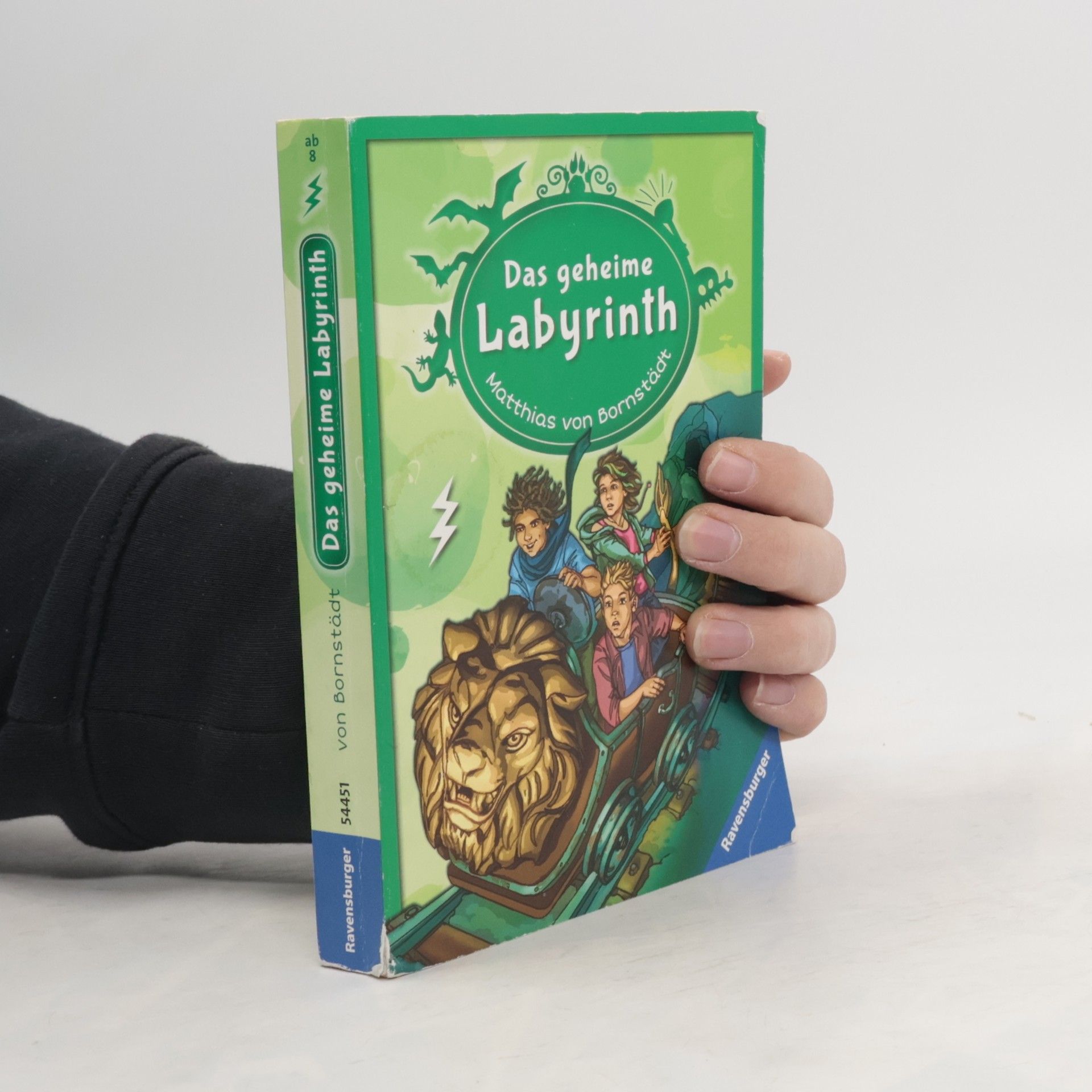 Matthias von Bornstädt Das geheime Labyrinth