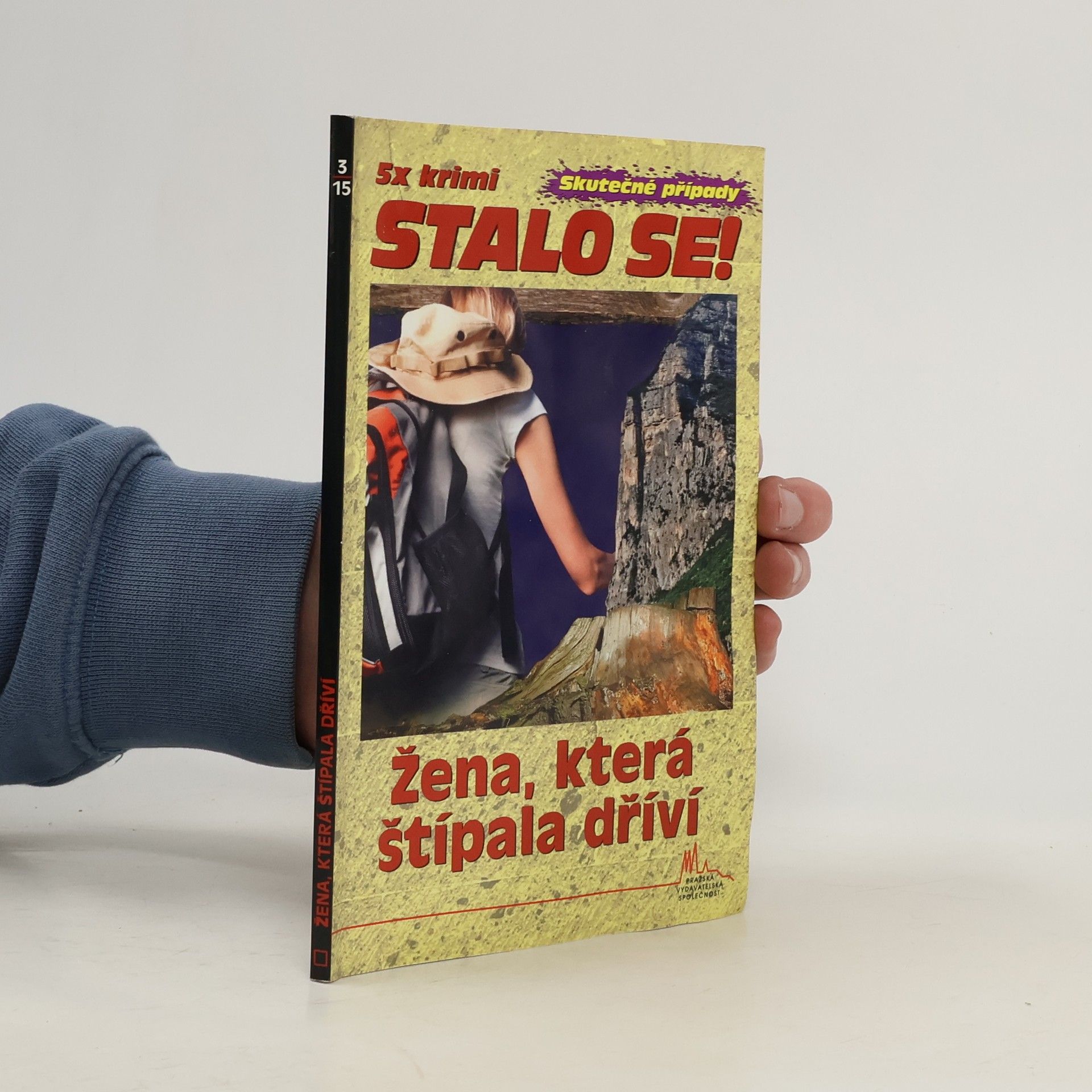 František Uher Žena, která štípala dříví