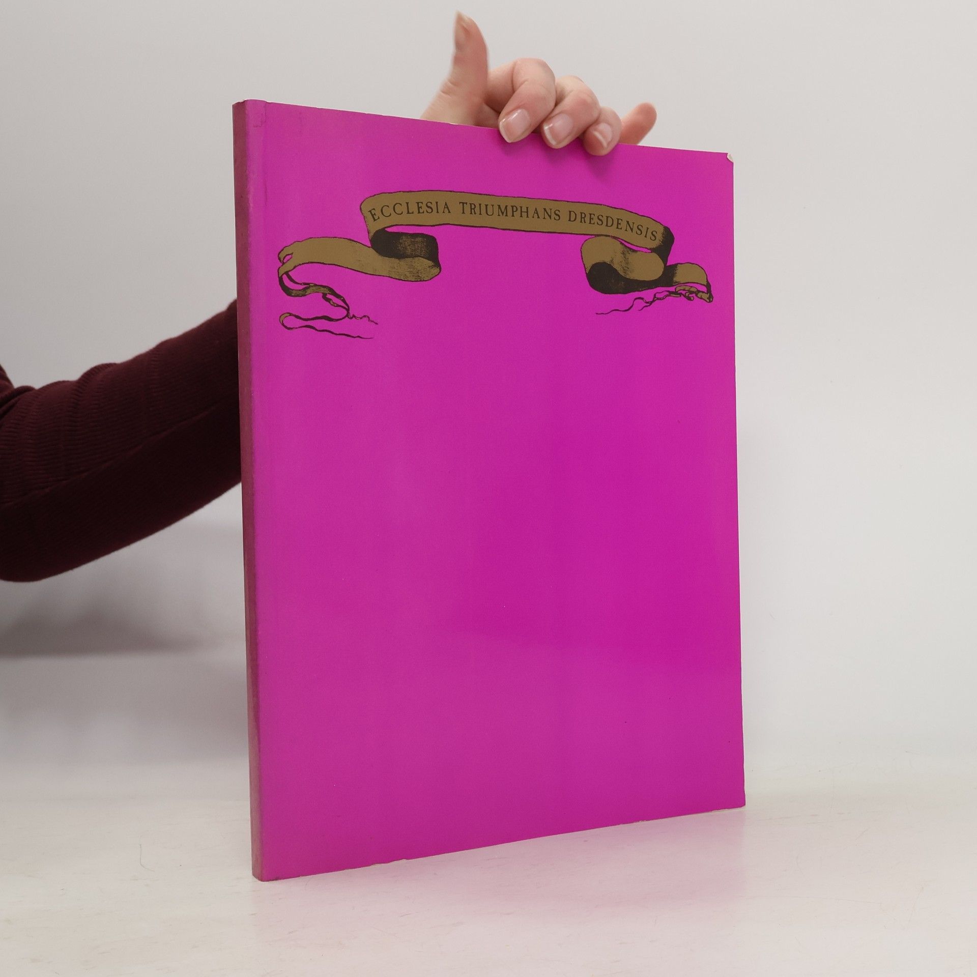 Johann Lehner Ecclesia triumphans Dresdensis