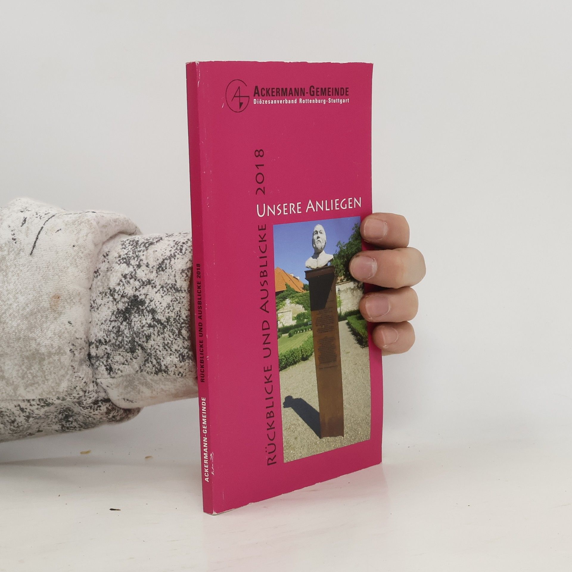 Autorenkollektiv Rückblicke und Ausblicke 2018