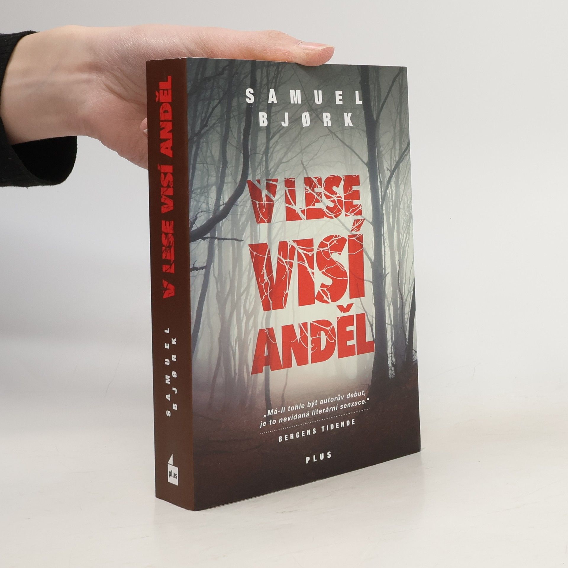 Samuel Bjork V lese visí anděl