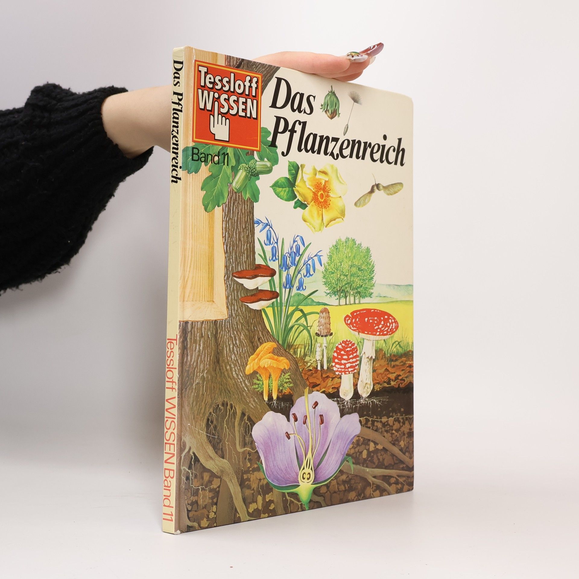 Jonathan Rutland Das Pflanzenreich