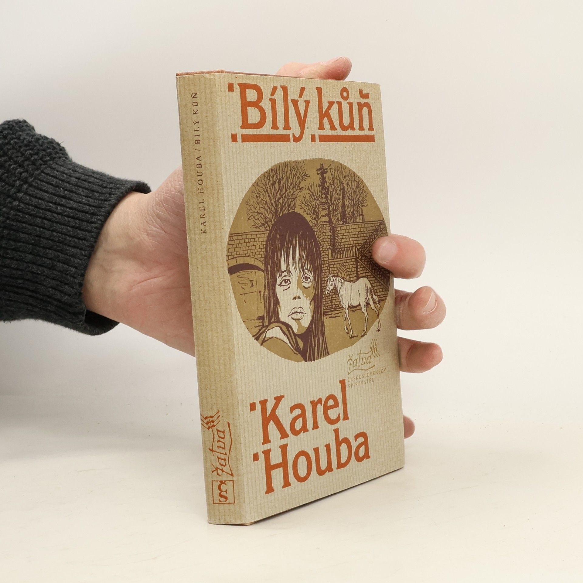 Karel Holub Bílý kůň