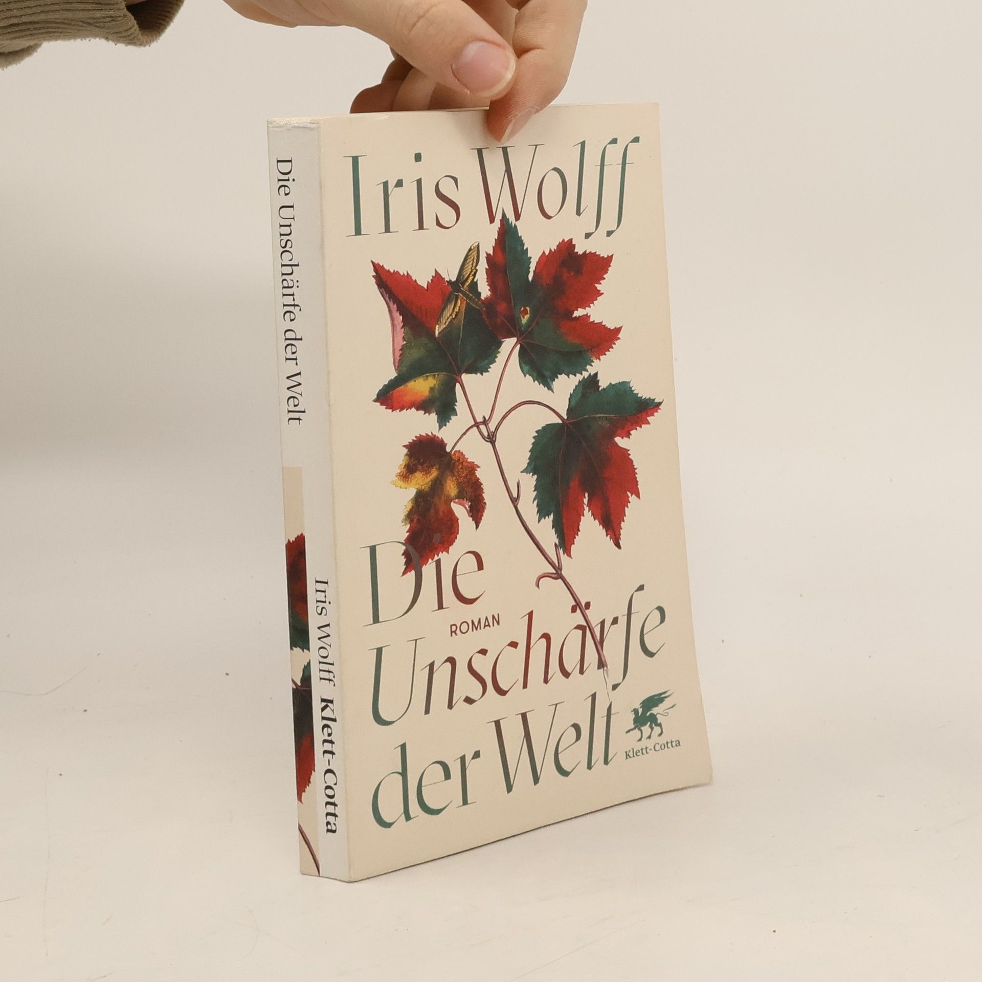 Iris Wolff Die Unschärfe der Welt