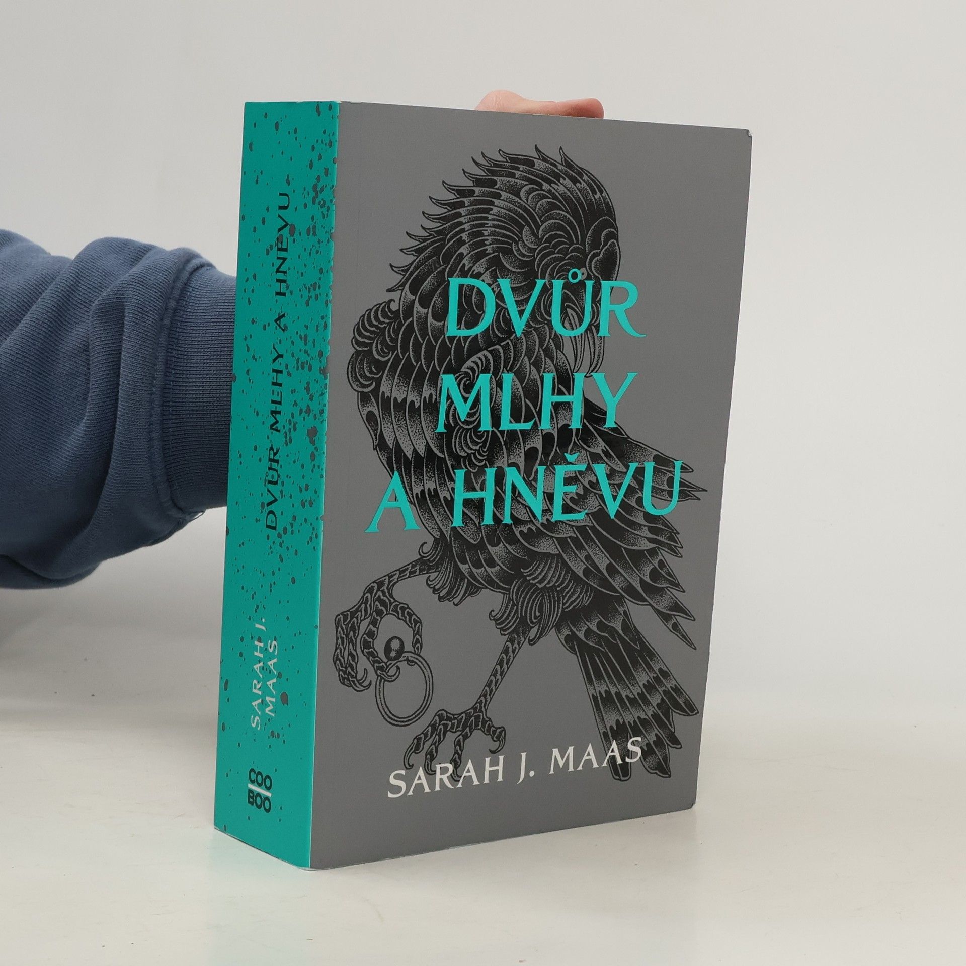 Sarah J. Maasová Dvůr mlhy a hněvu