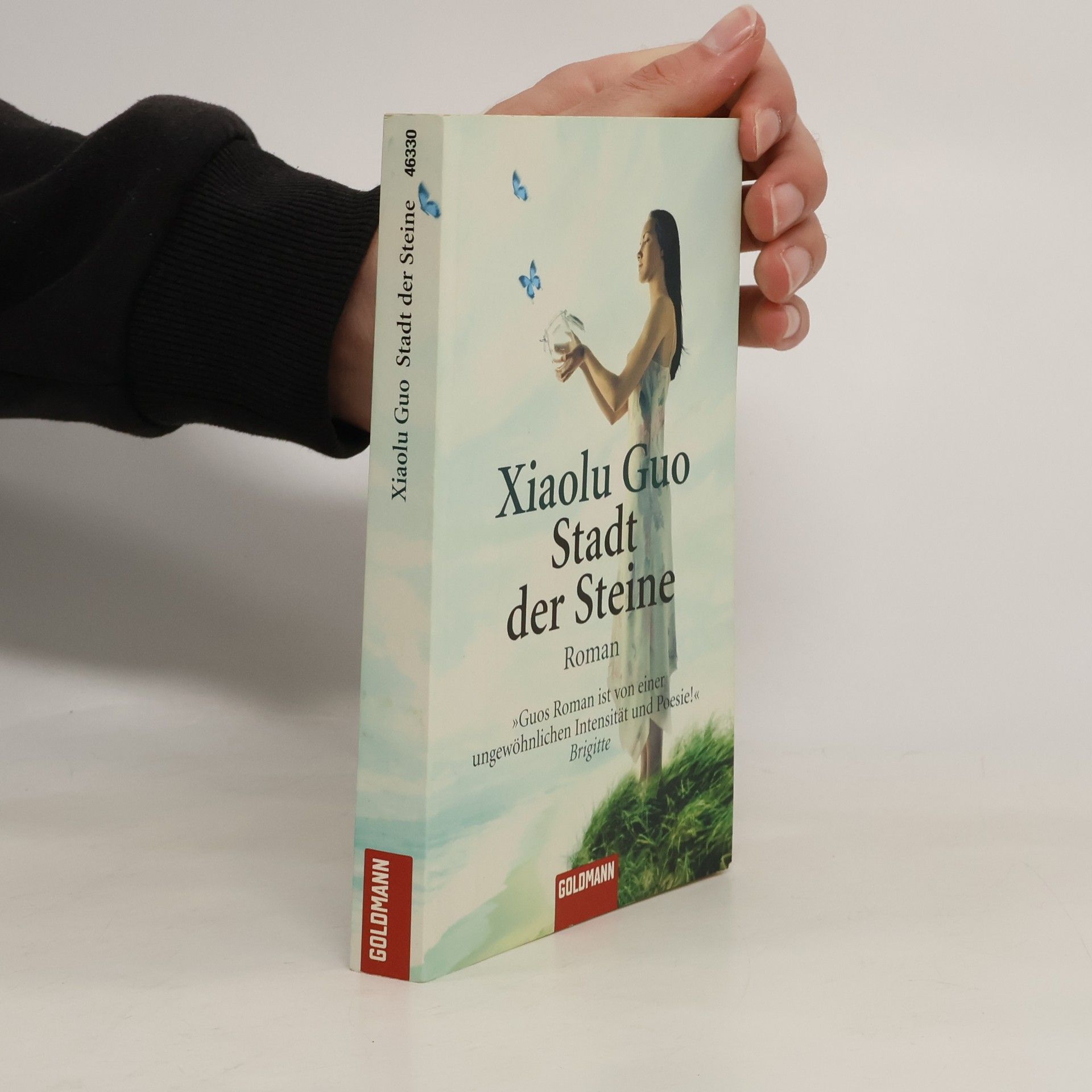 Xiaolu Guo Stadt der Steine