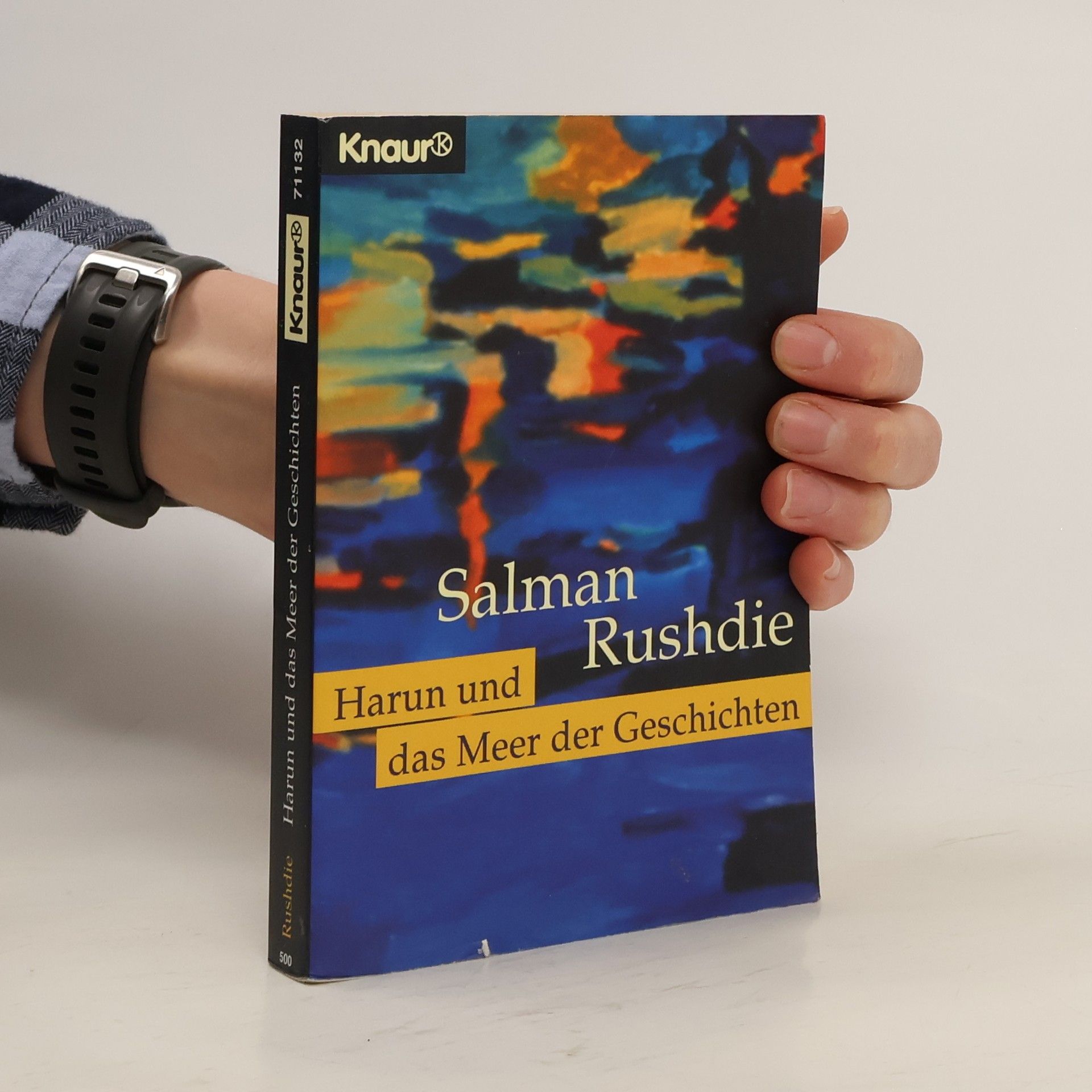 Salman Rushdie Harun und das Meer der Geschichten