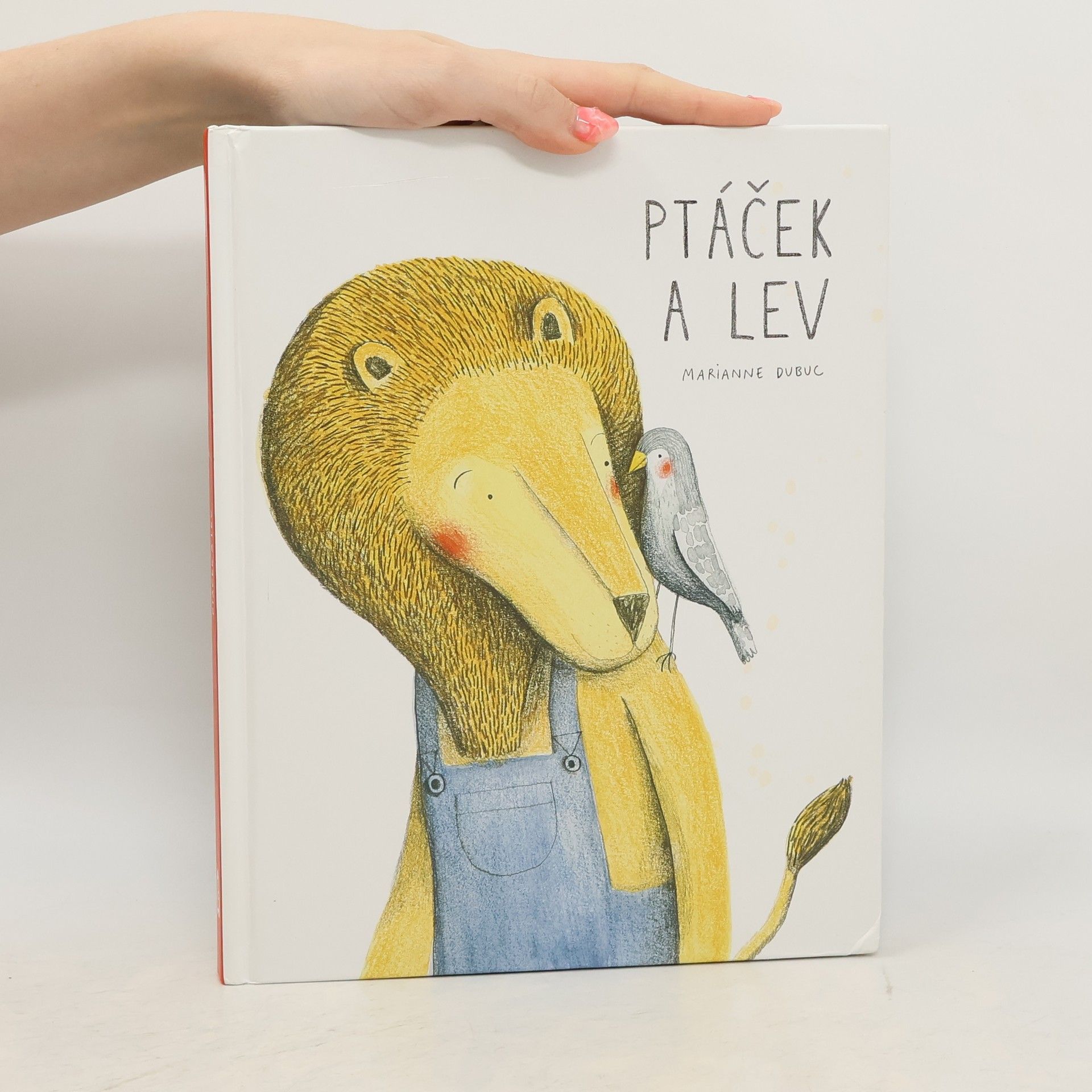Marianne Dubuc Ptáček a lev