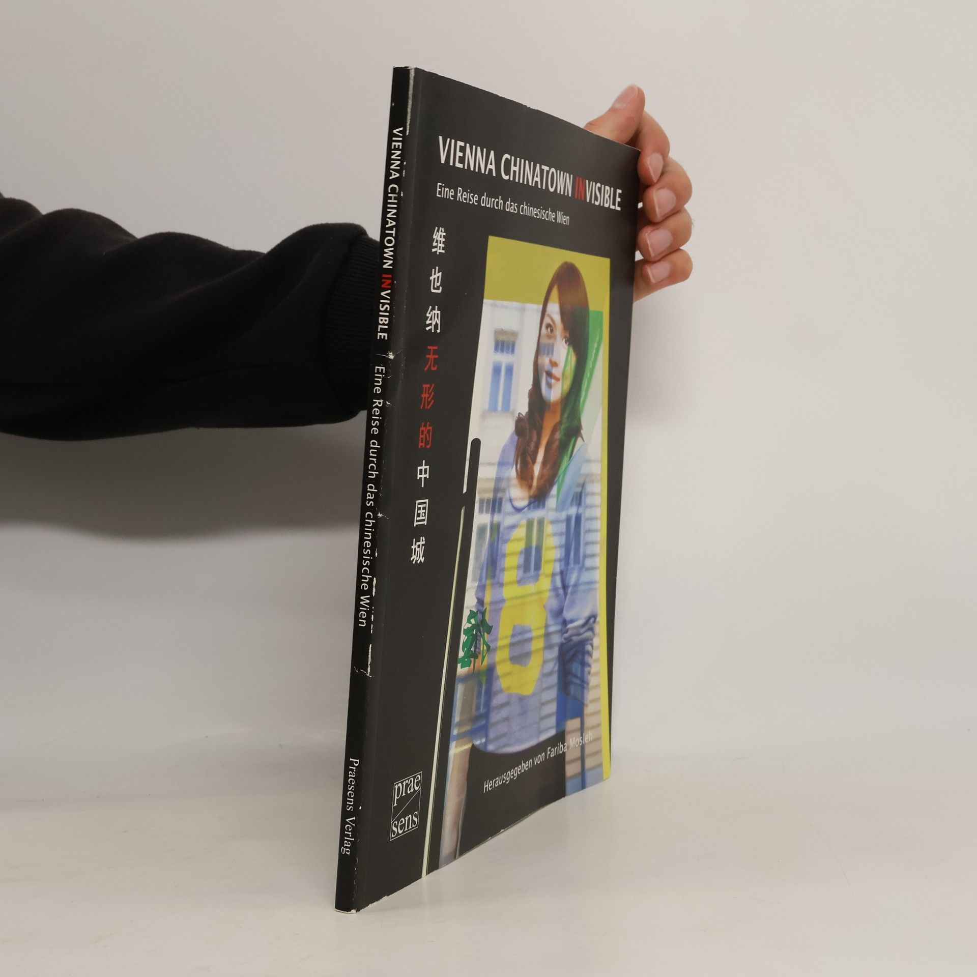Fariba Mosleh Vienna Chinatown INvisible