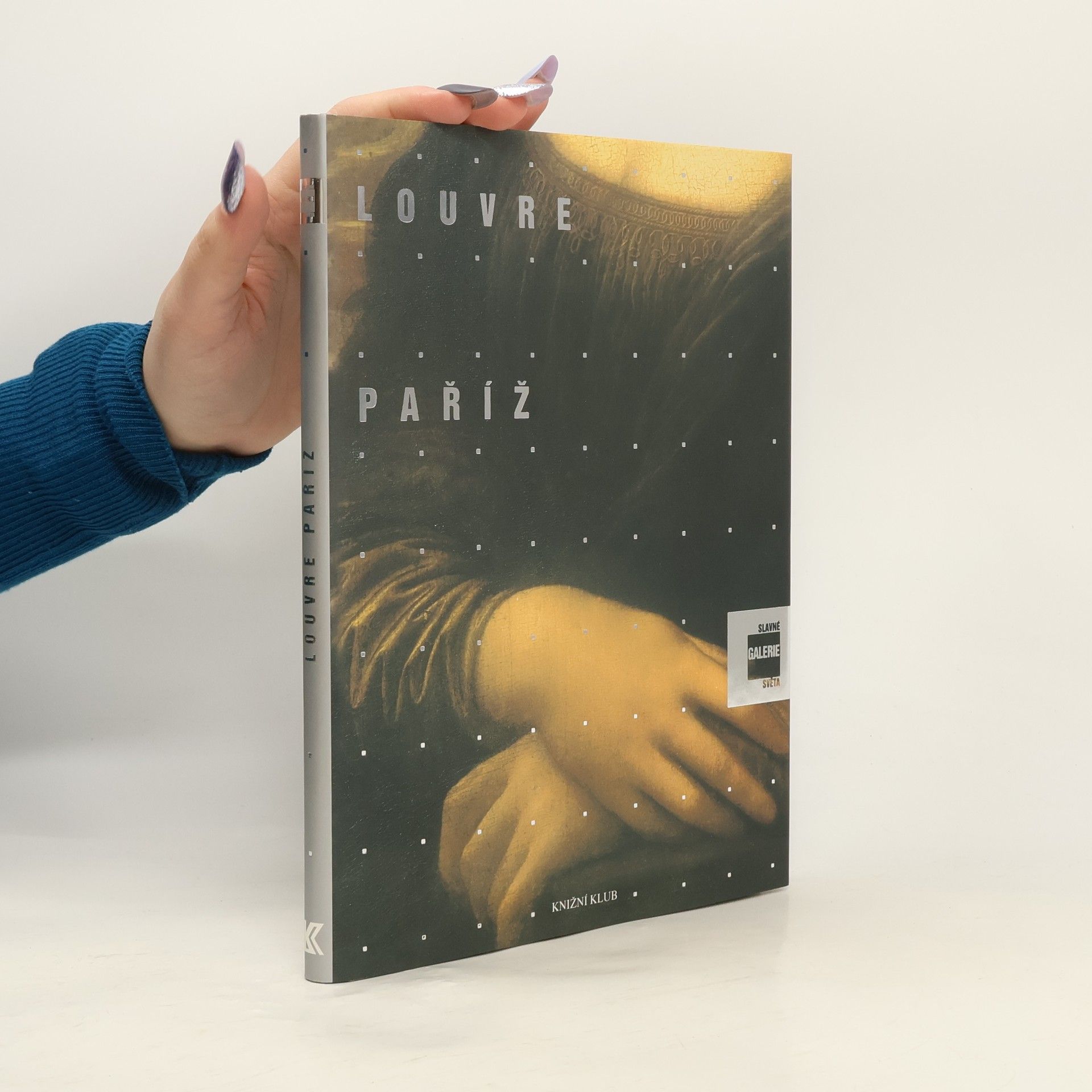 Alessandra Fregolent Slavné galerie světa. Louvre - Paříž