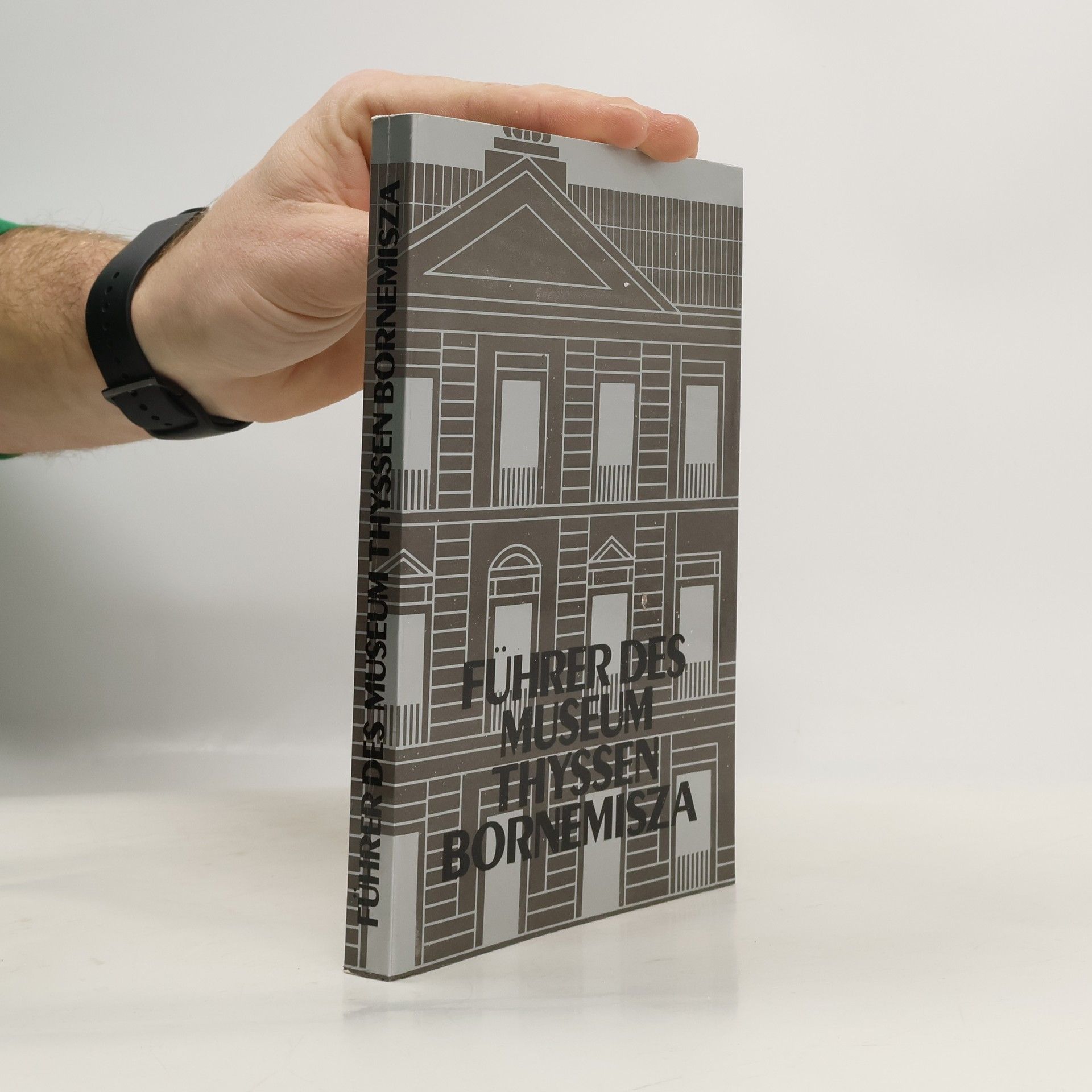 Alicia Marti nez Ve lez Führer des Museums Thyssen-Bornemisza